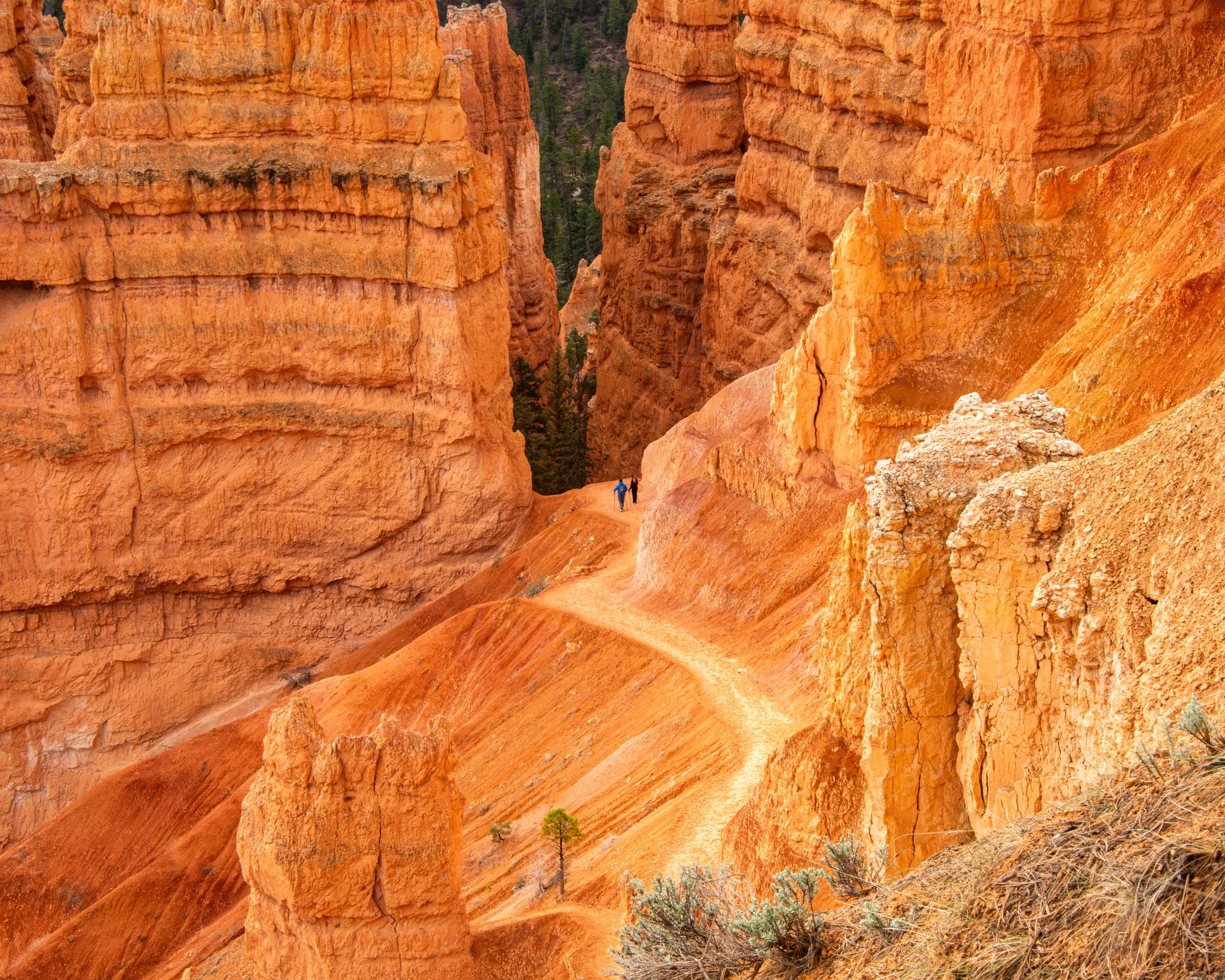 Bryce-23.jpg