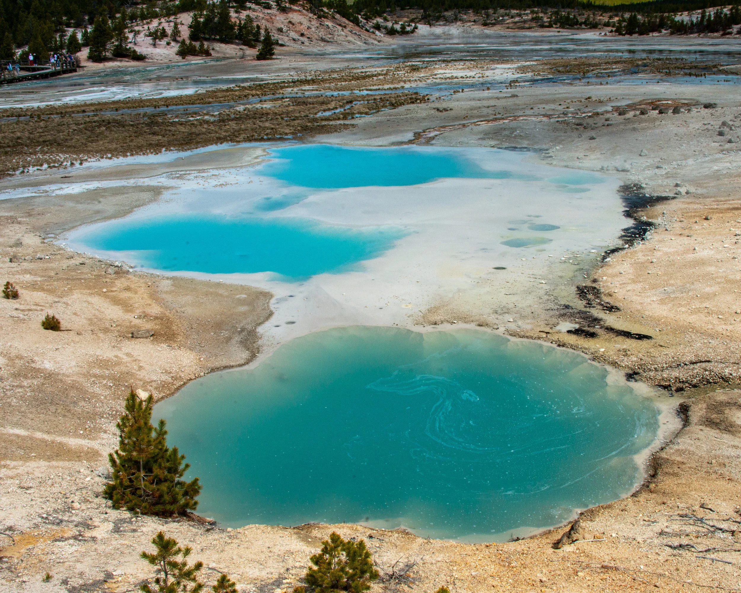 Yellowstone NP-437.jpg