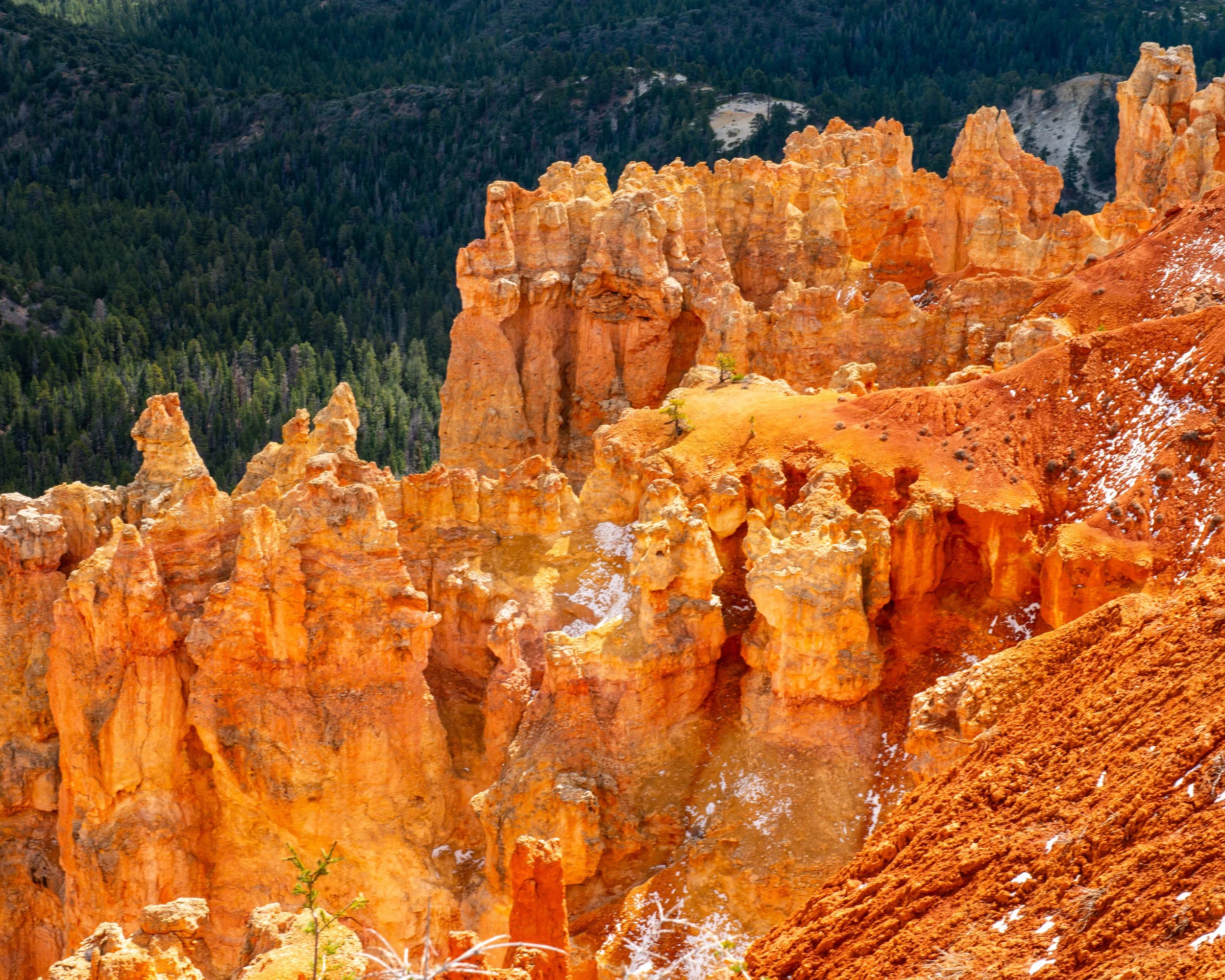 Bryce-160.jpg