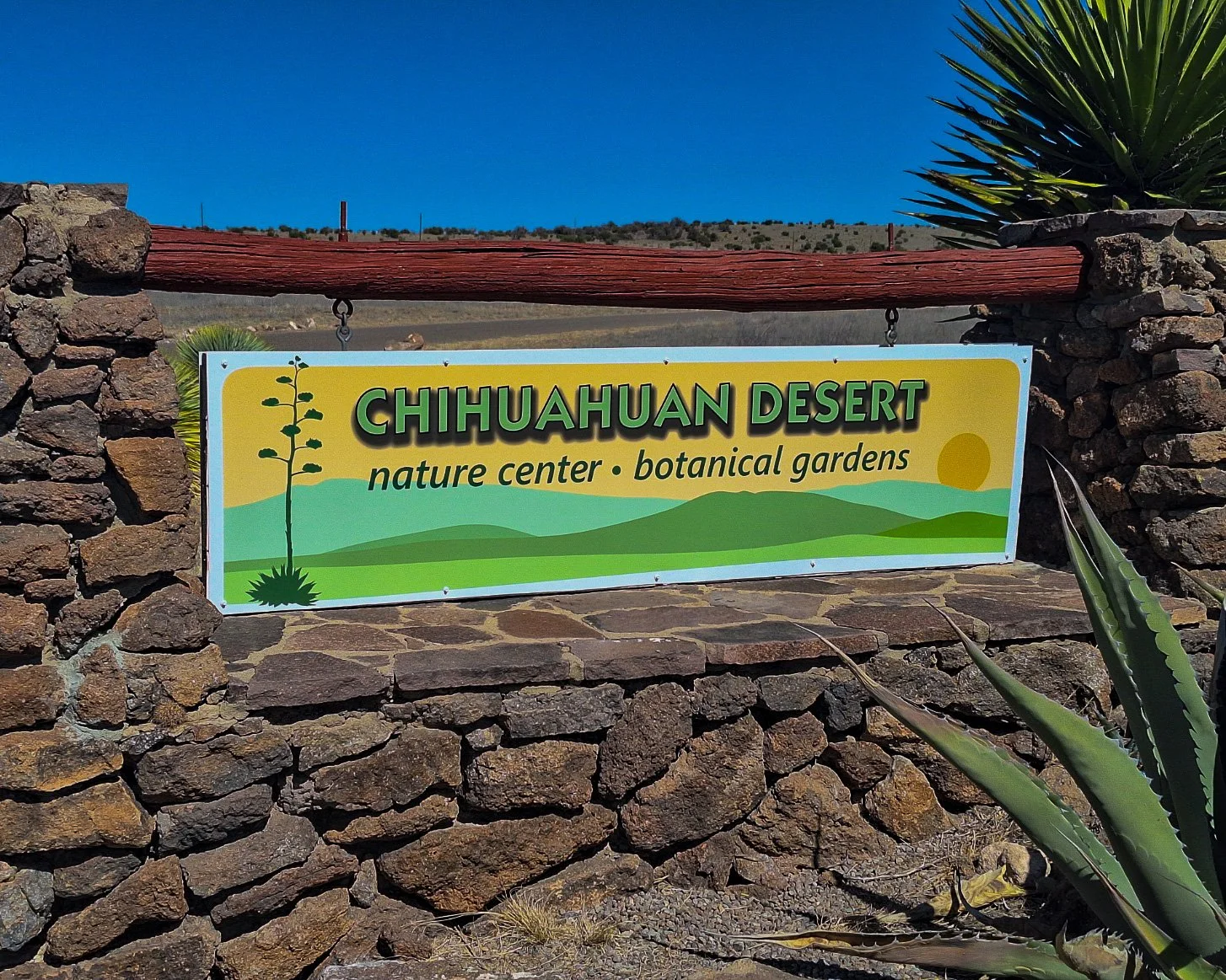 Chihuahuan Desert NC-153.jpg