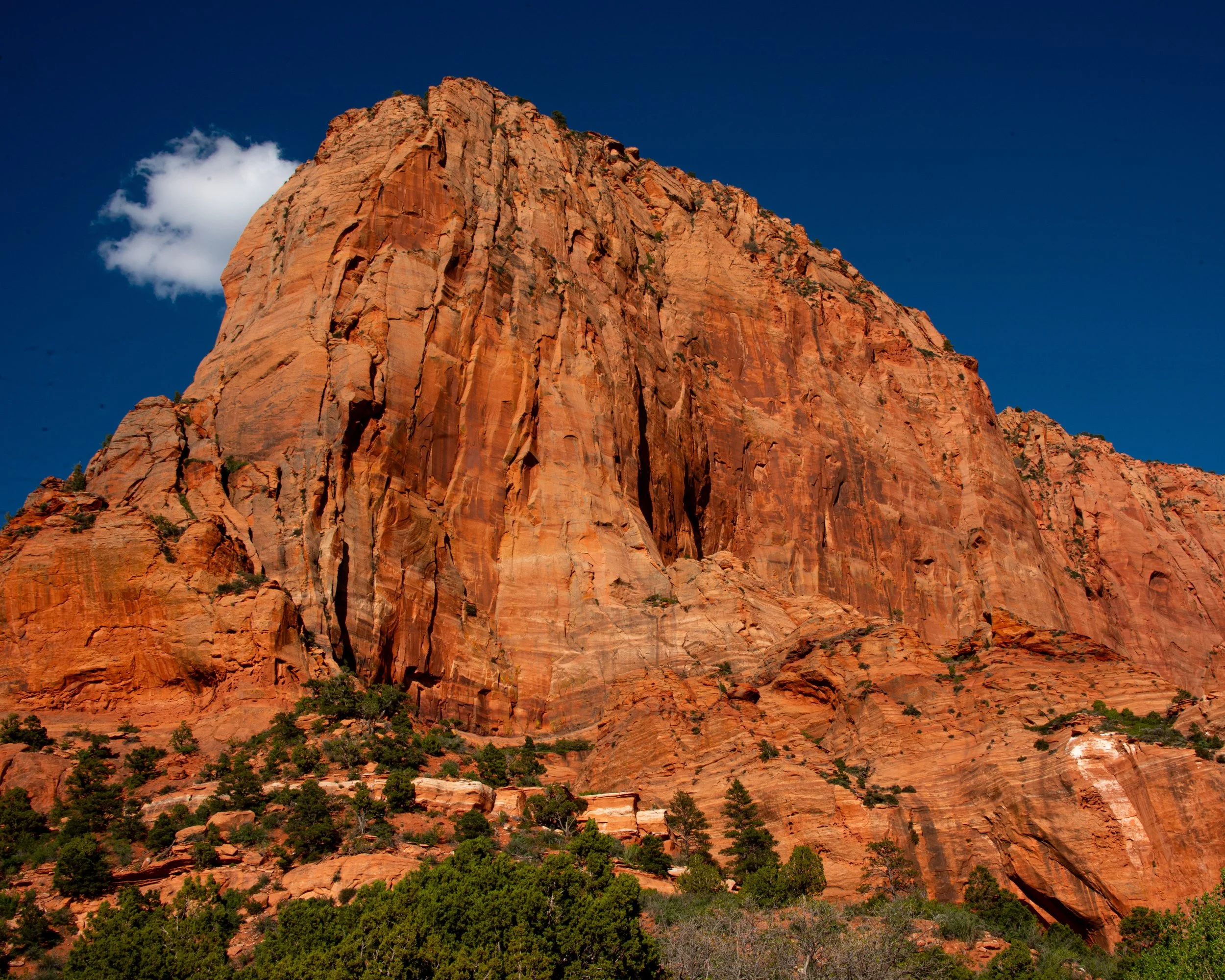 Zion-209.jpg
