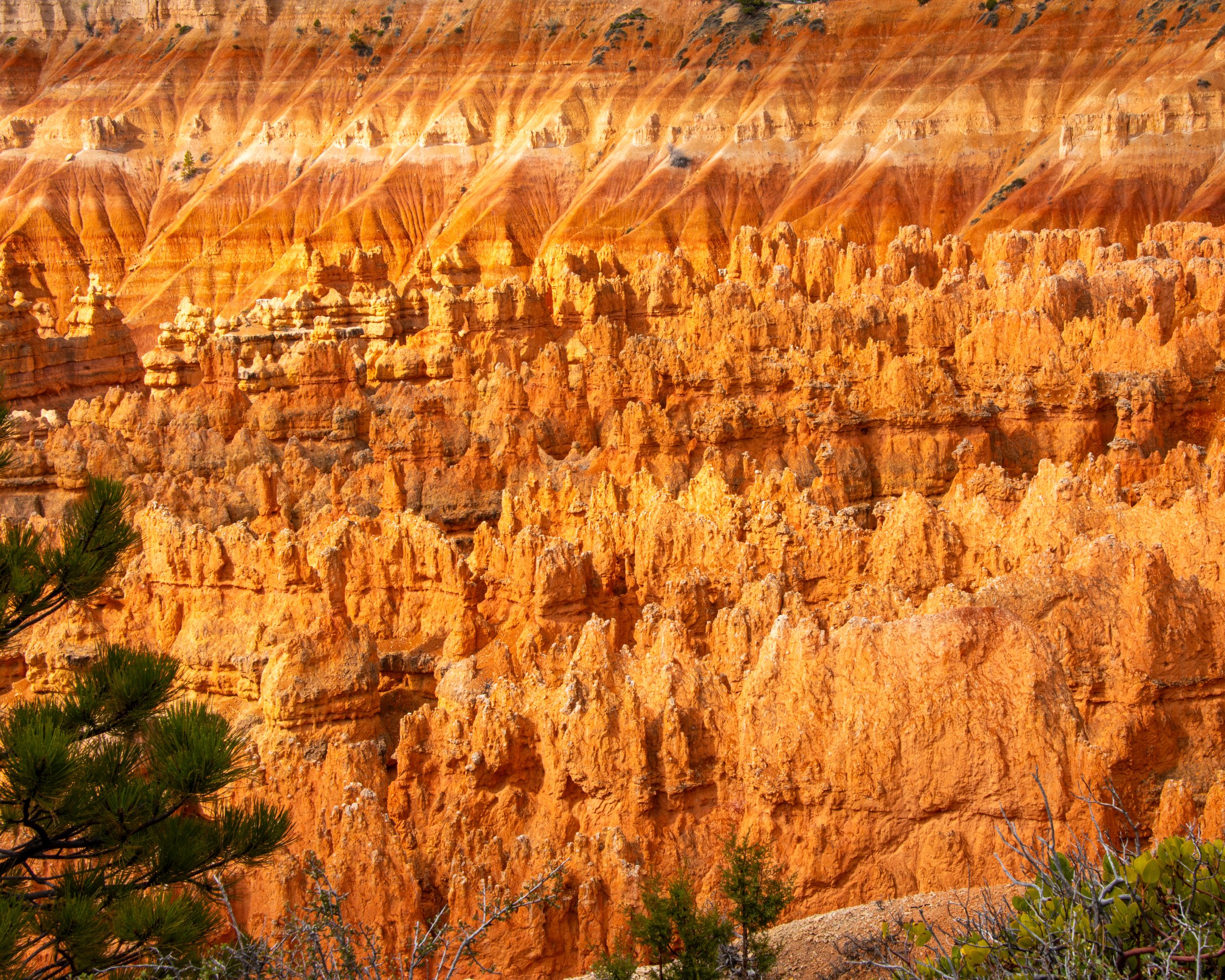 Bryce-46.jpg