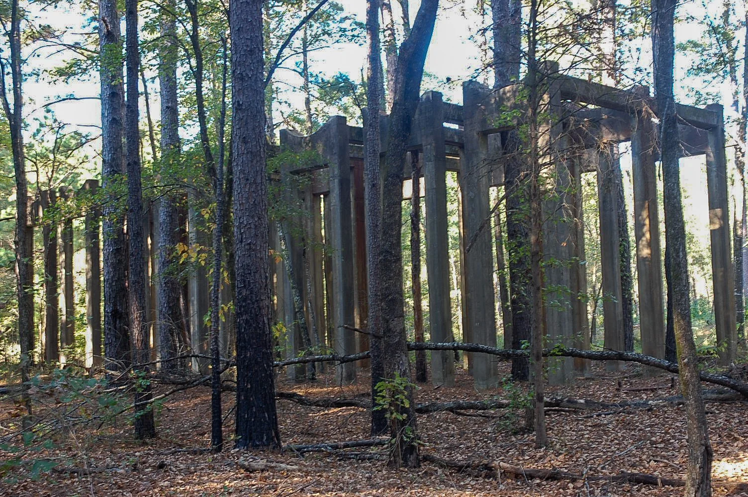 Caddo Lake SP-145.jpg
