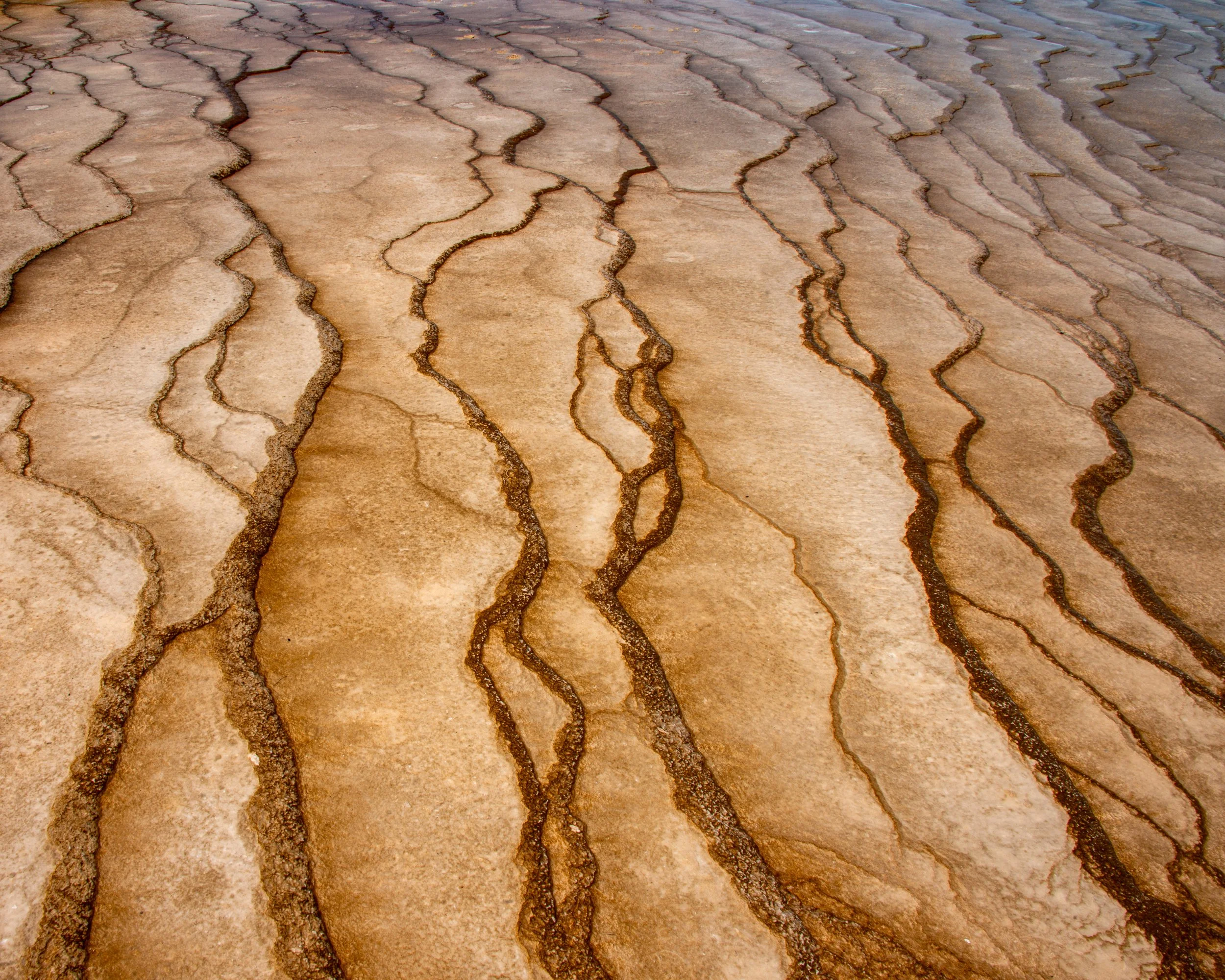 Yellowstone NP-1105.jpg