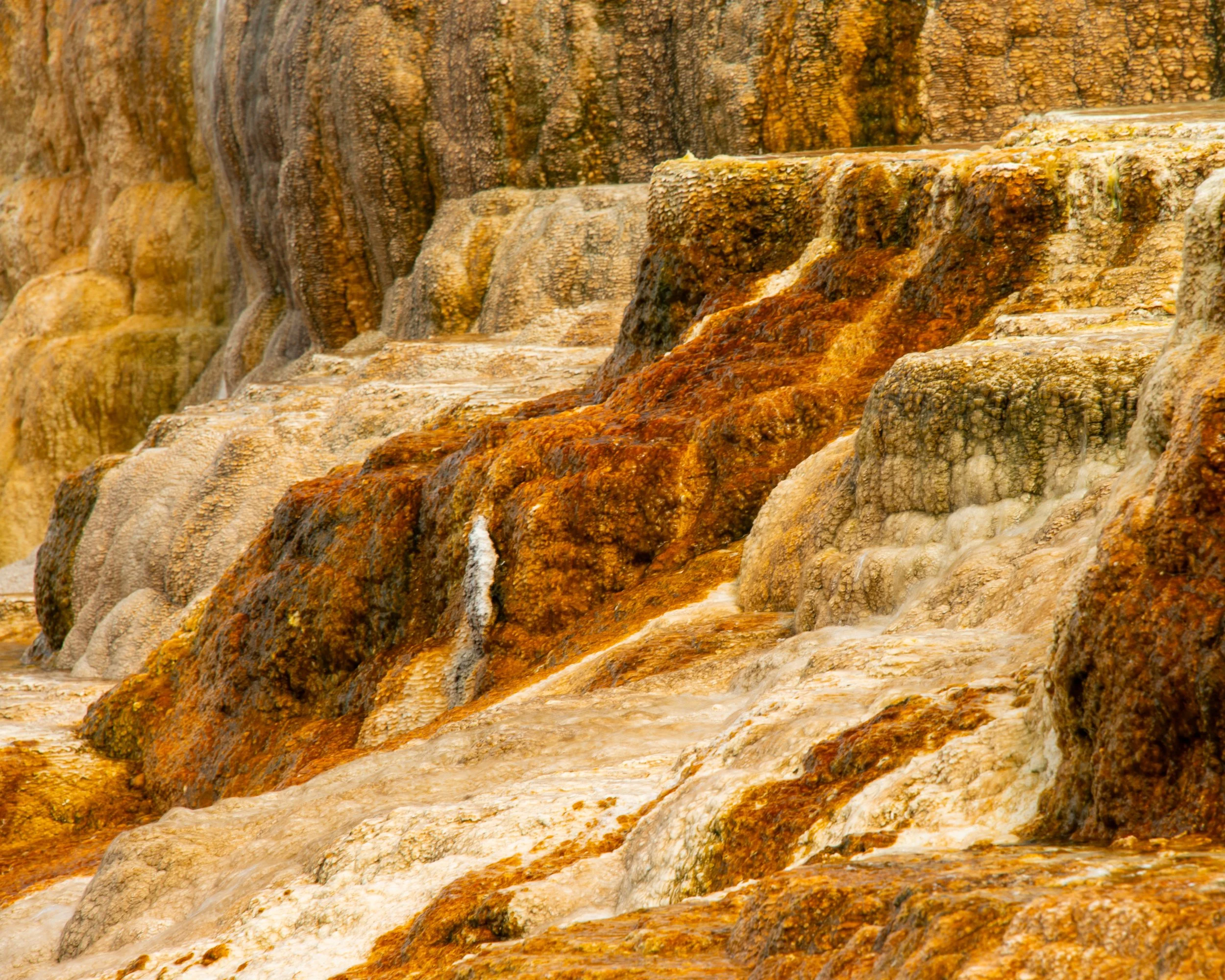 Yellowstone NP-573.jpg