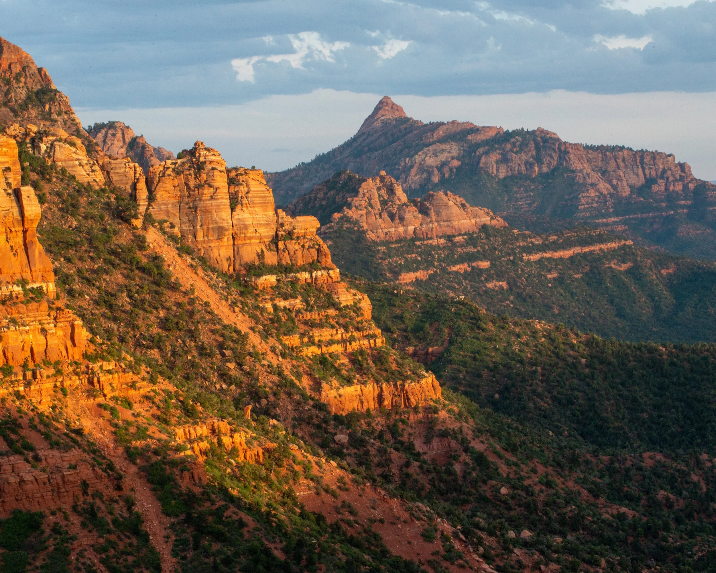 Zion-305.jpg