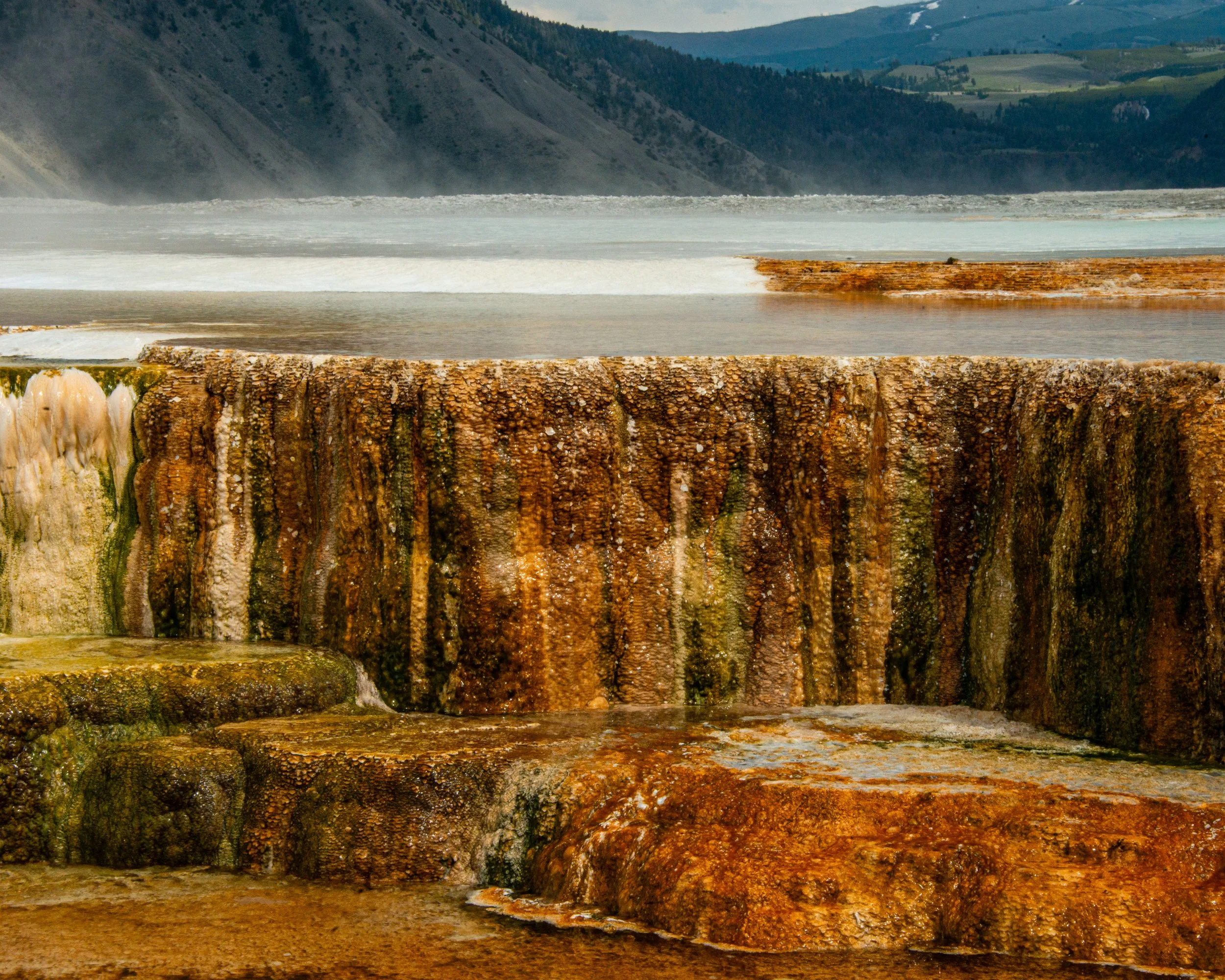 Yellowstone NP-557.jpg
