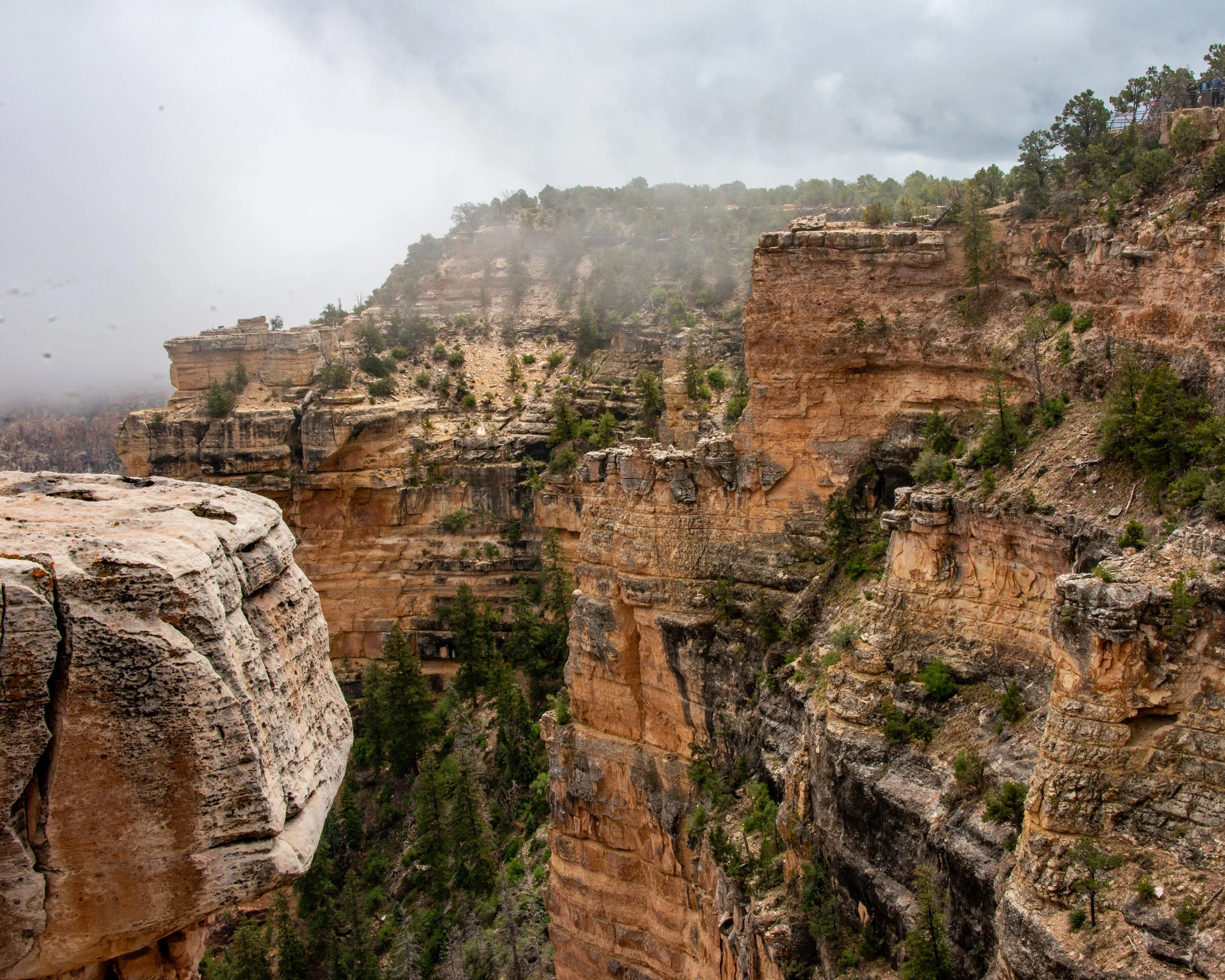 Mather Point-41 - Copy.jpg