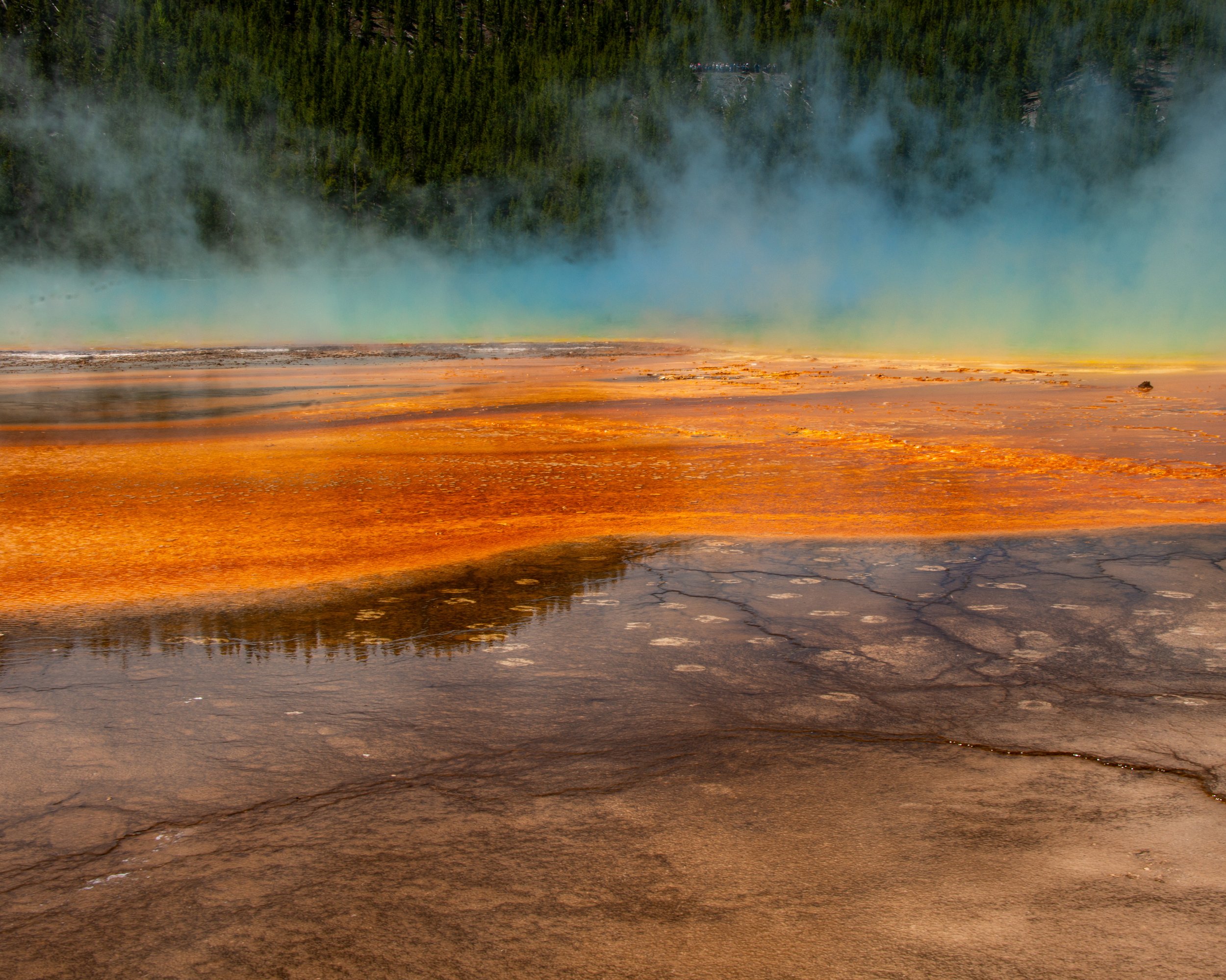 Yellowstone NP-1079.jpg