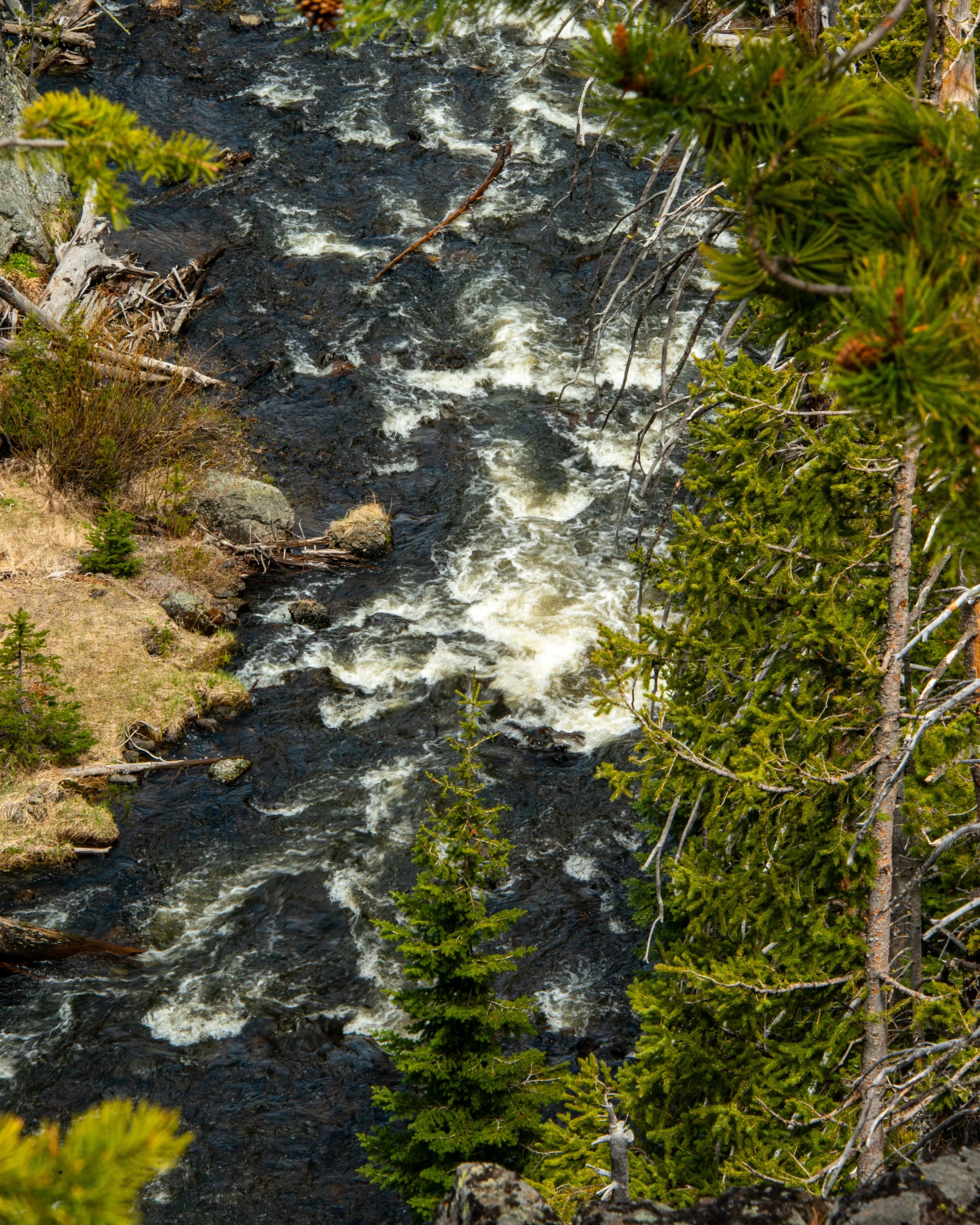 Yellowstone NP-176.jpg