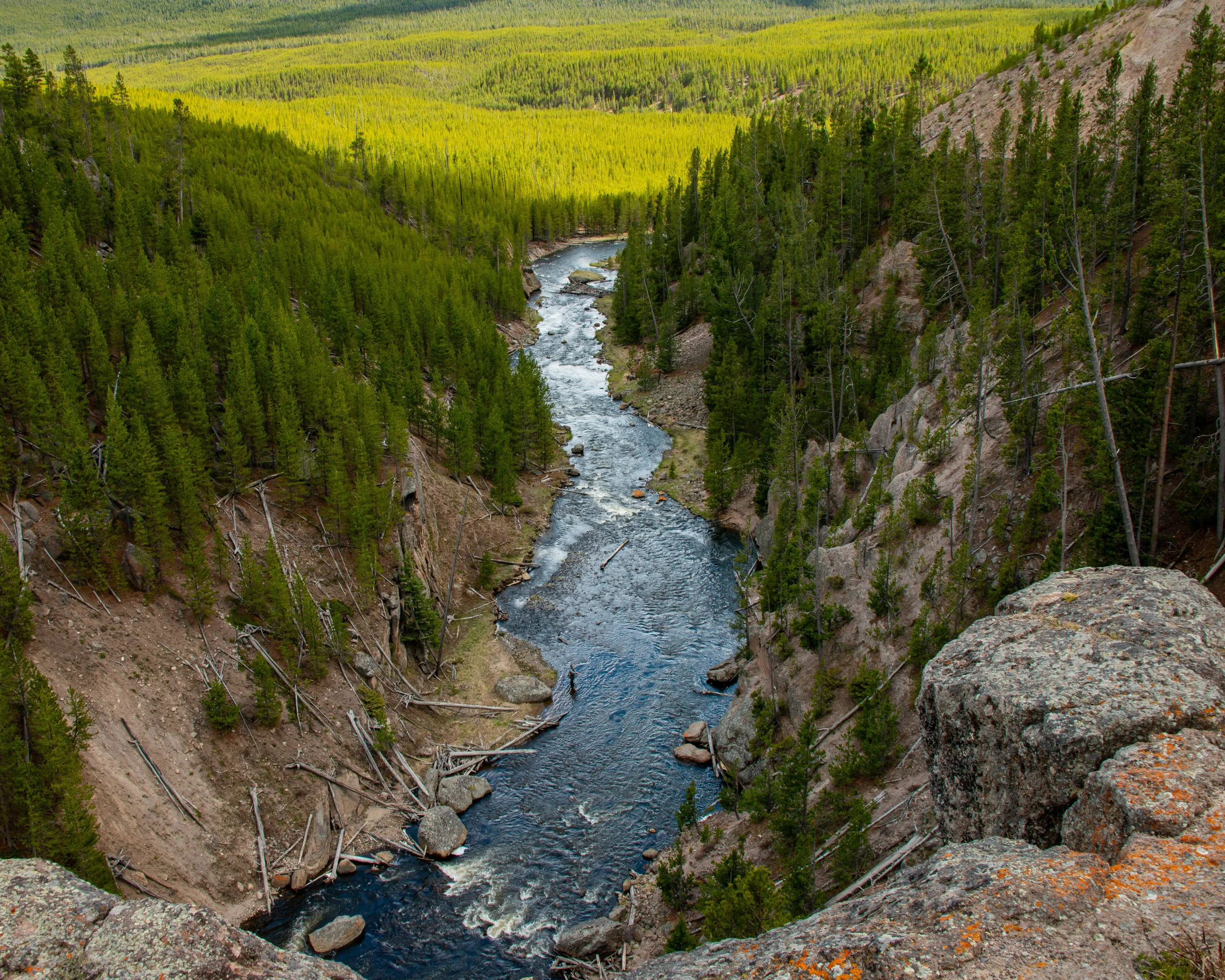Yellowstone NP-337.jpg