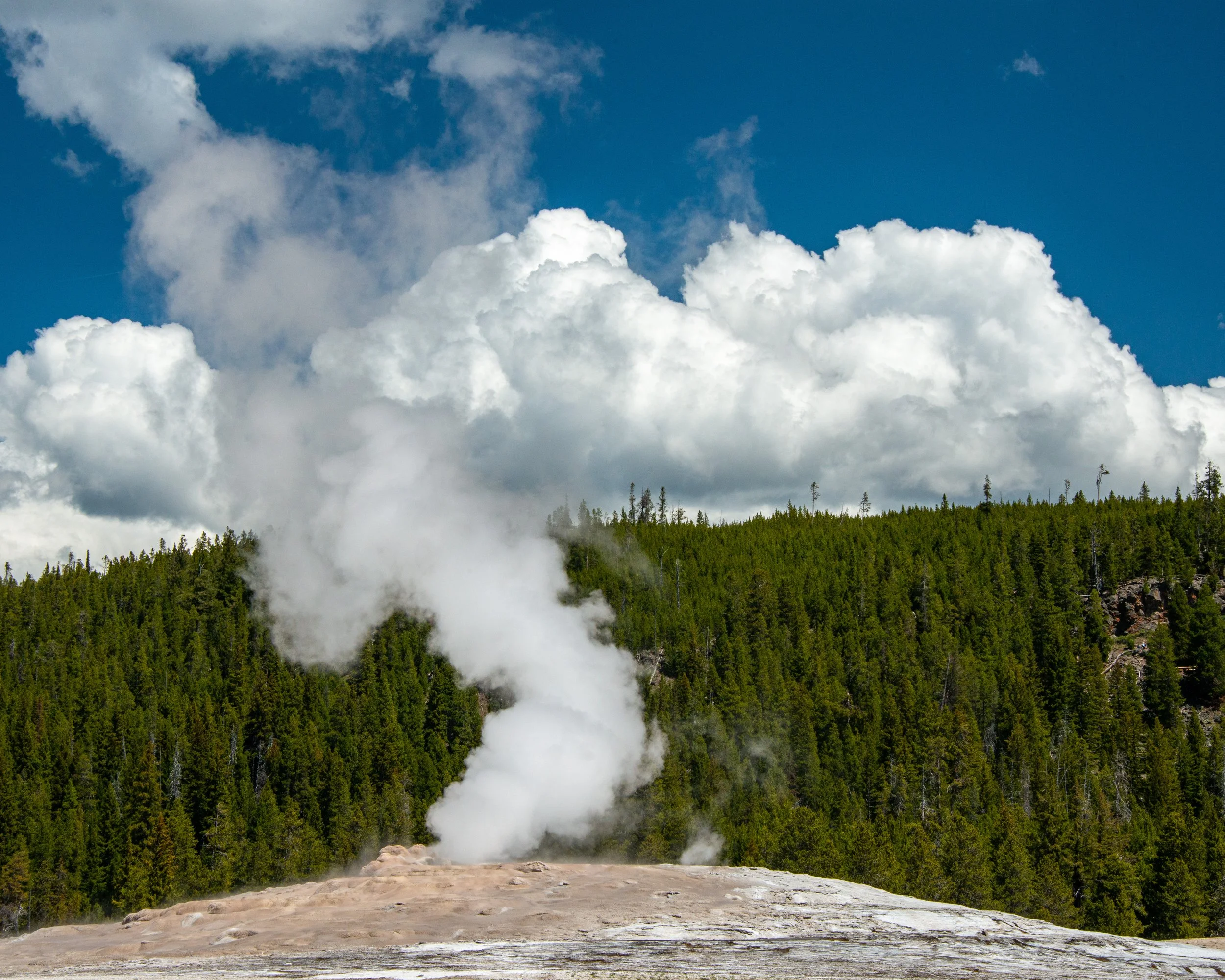 Yellowstone NP-650.jpg