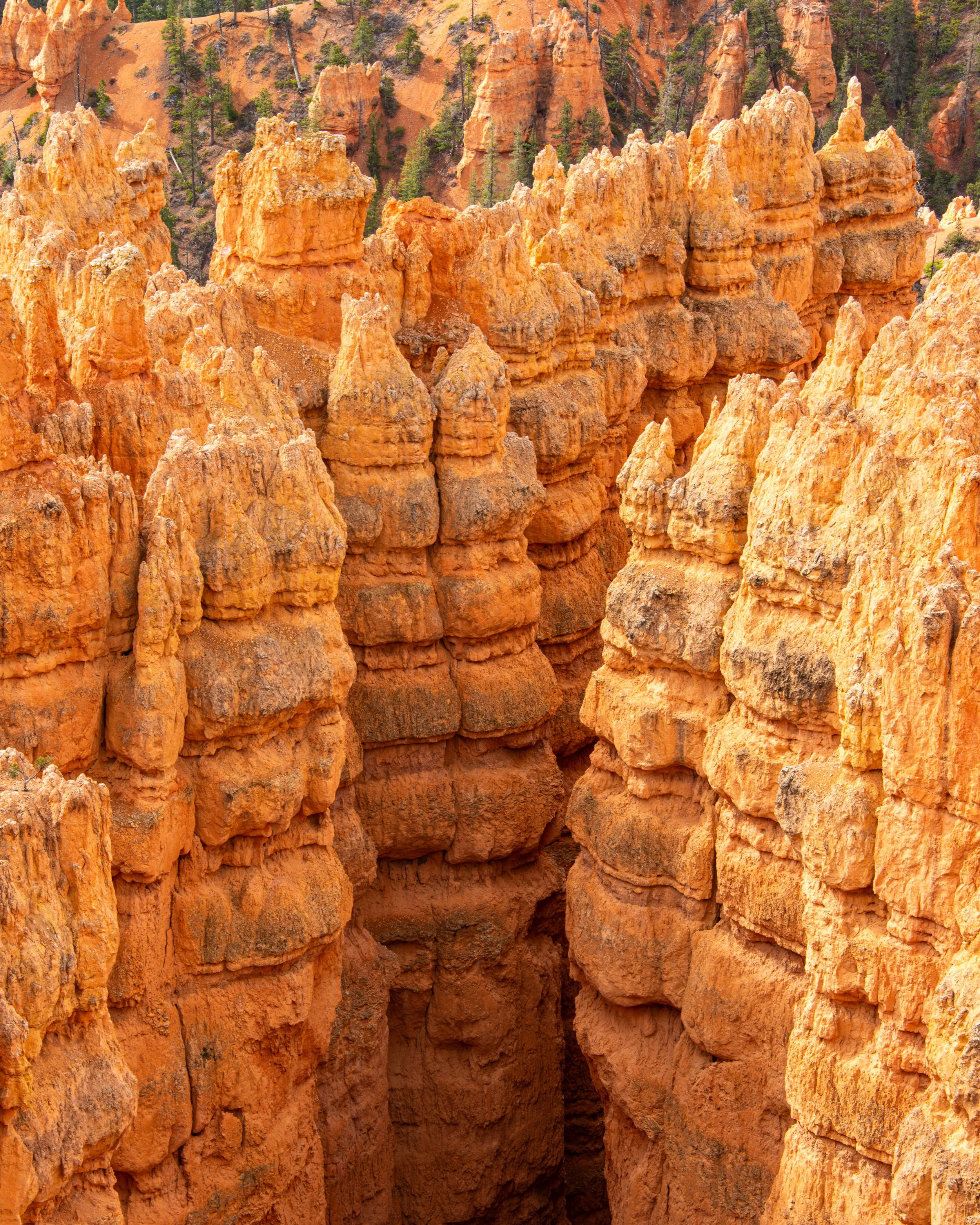 Bryce-36.jpg