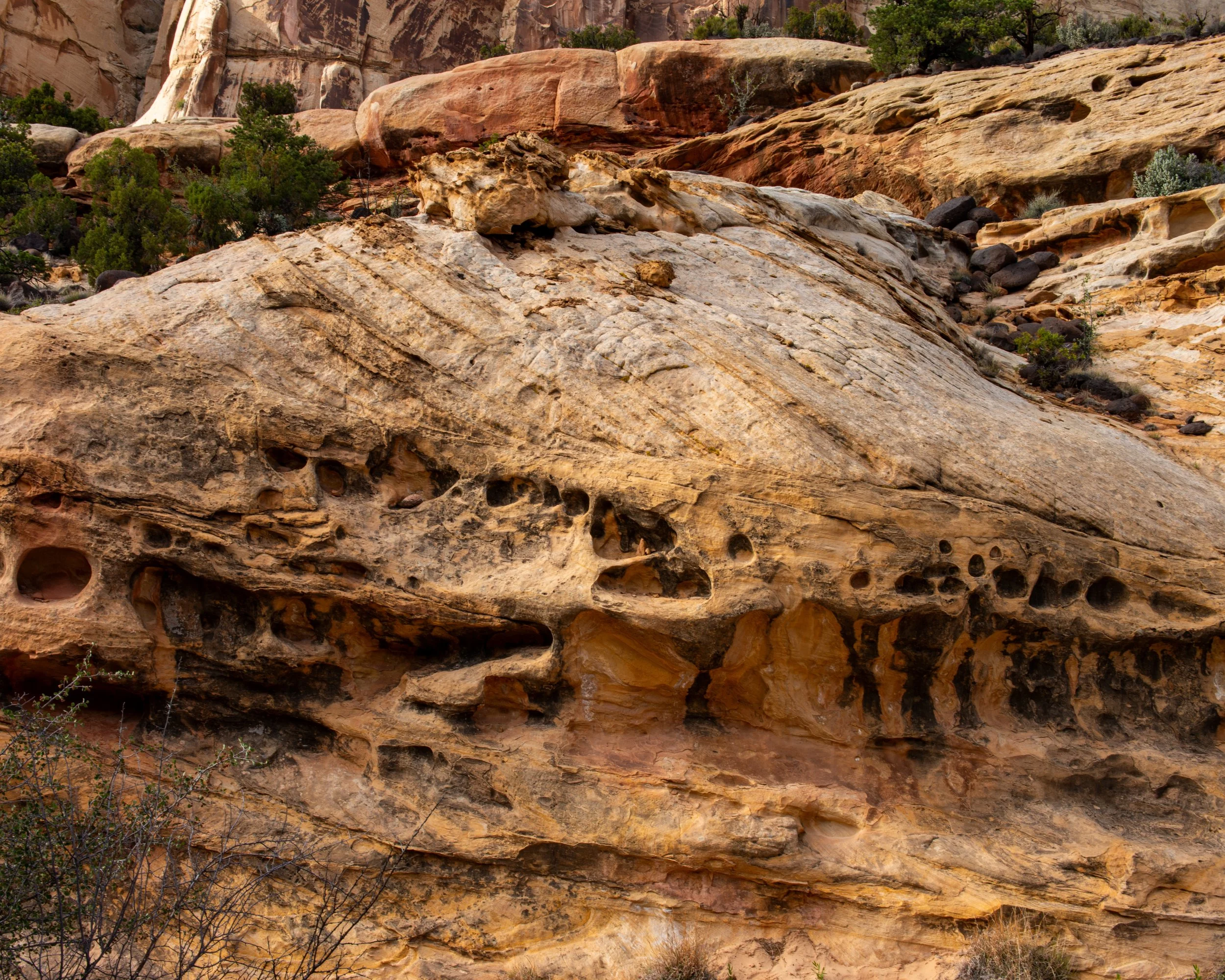 Capitol Reef-18.jpg