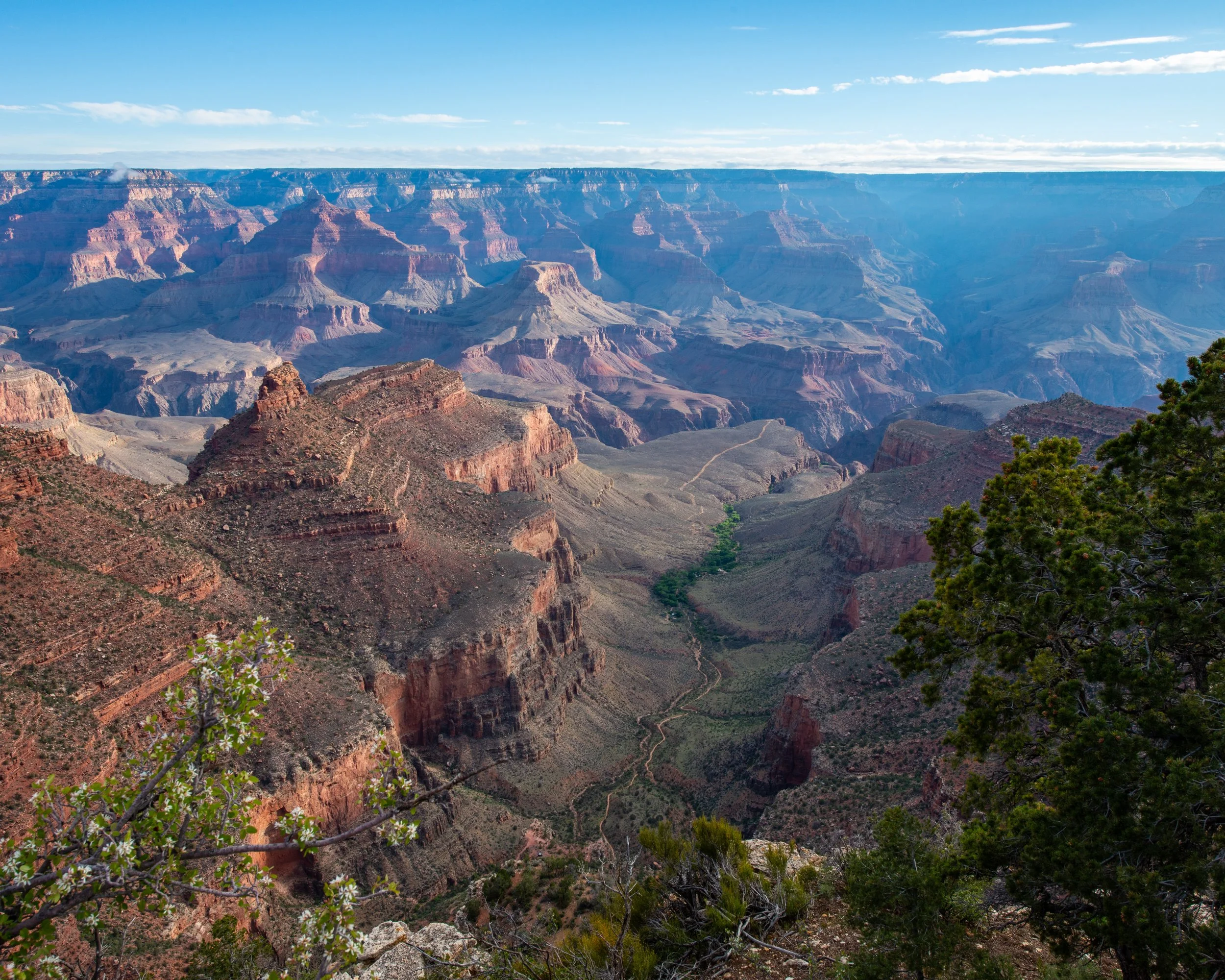 Rim Trail 5-7-25-189.jpg