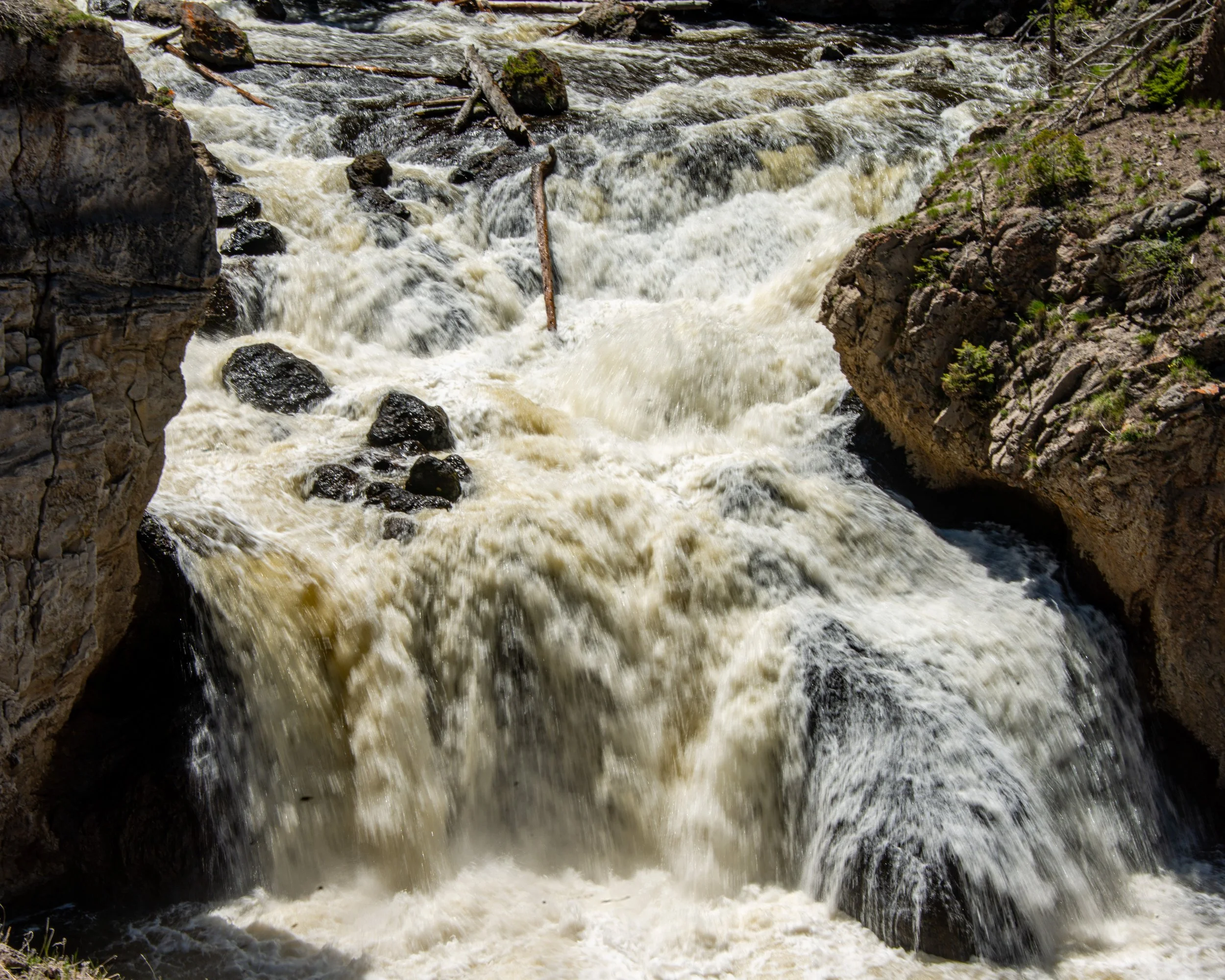 Yellowstone NP-1136.jpg