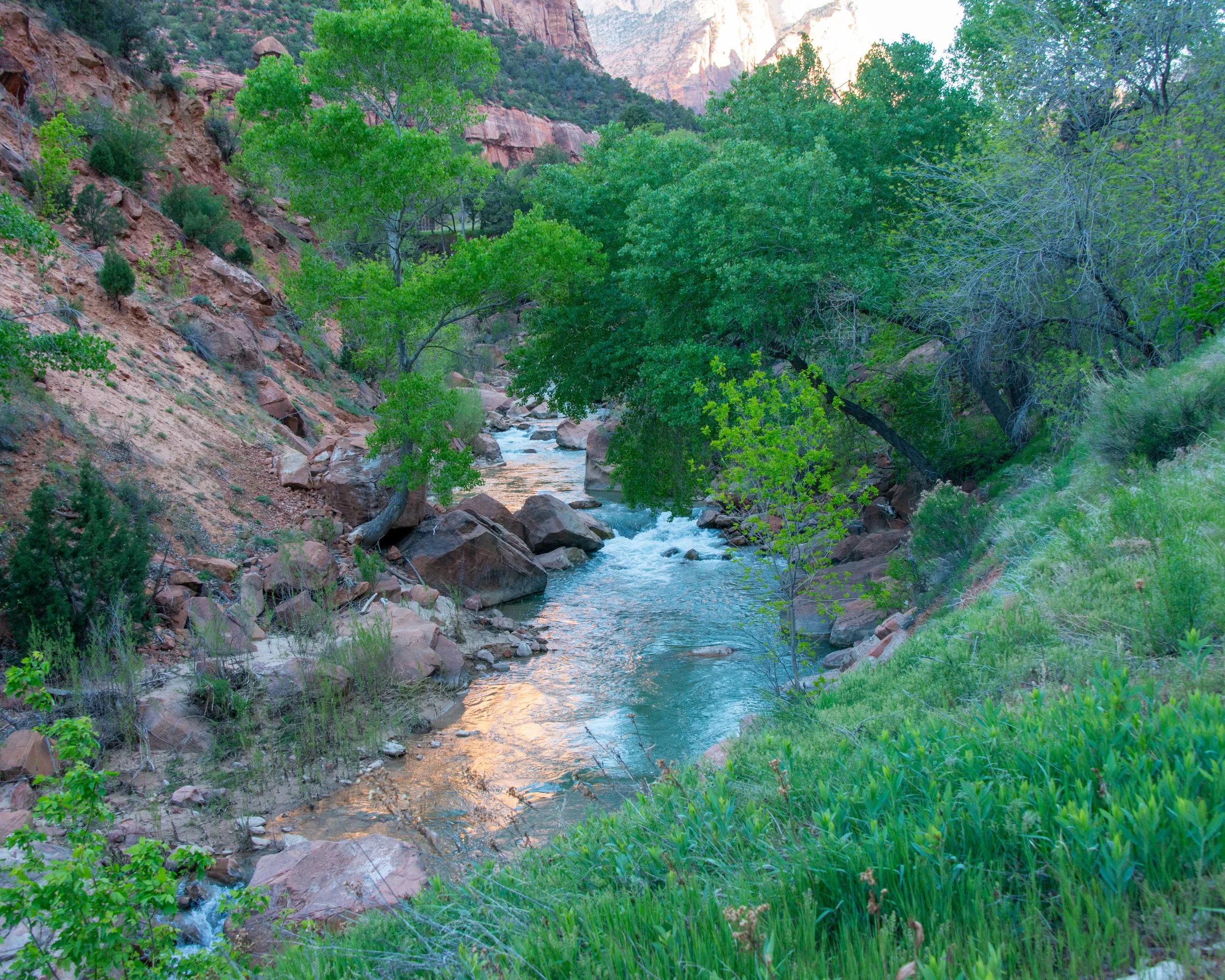 Zion-73.jpg