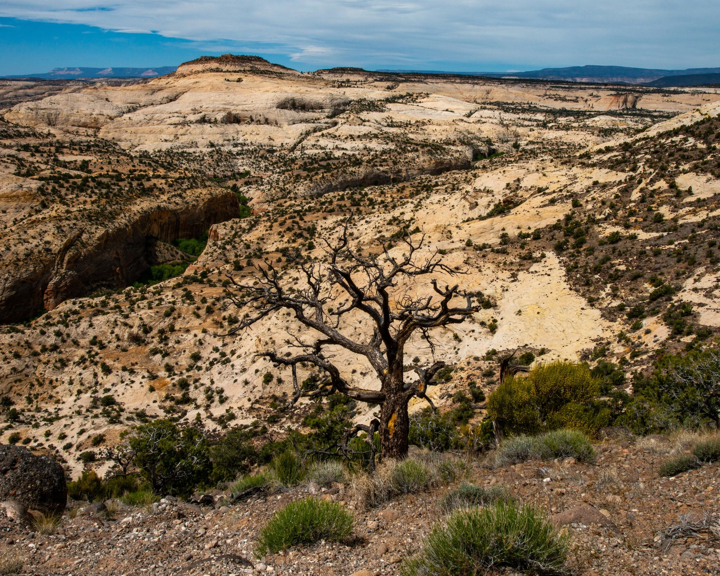 Capitol Reef-248.jpg