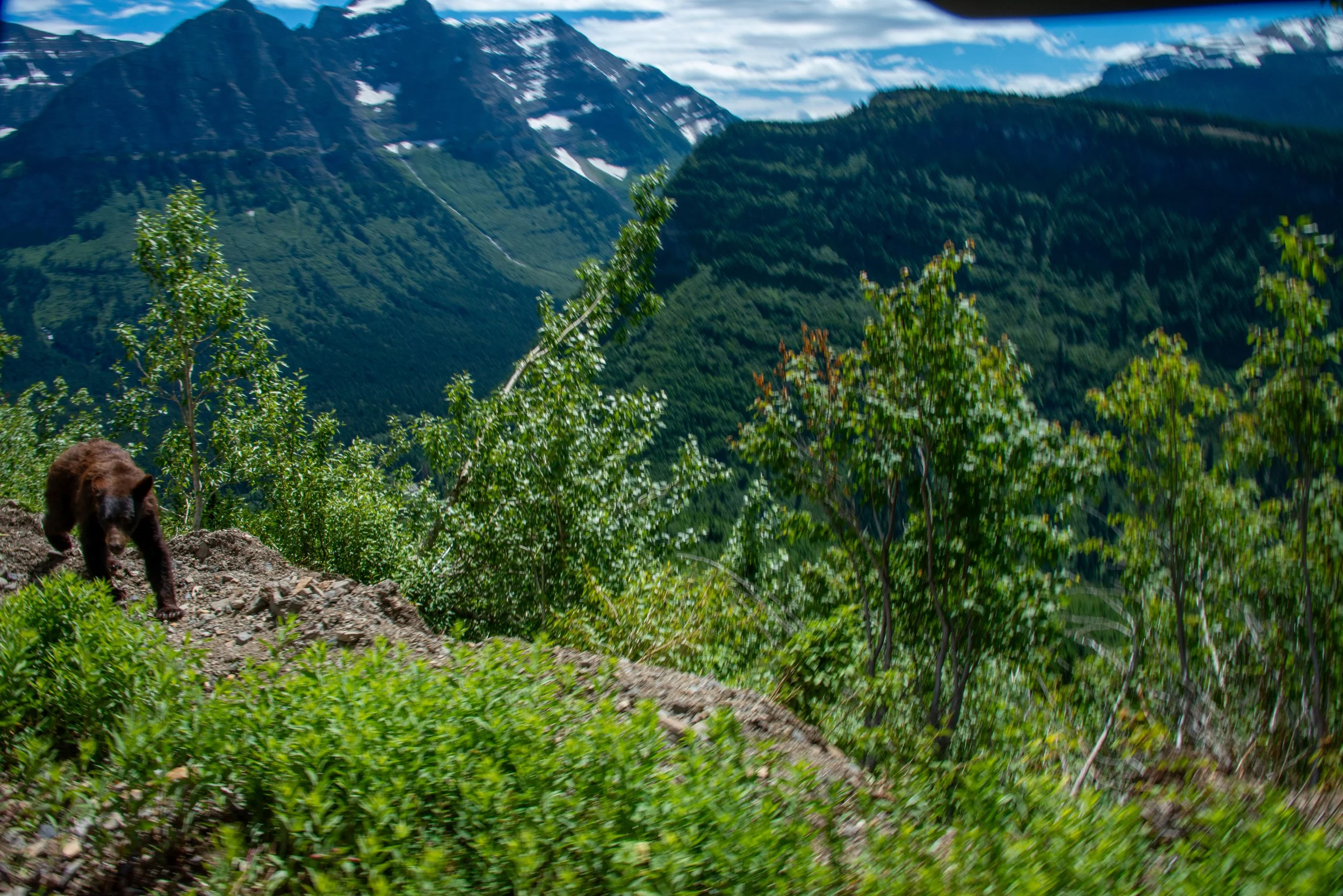 Glacier NP-544.jpg