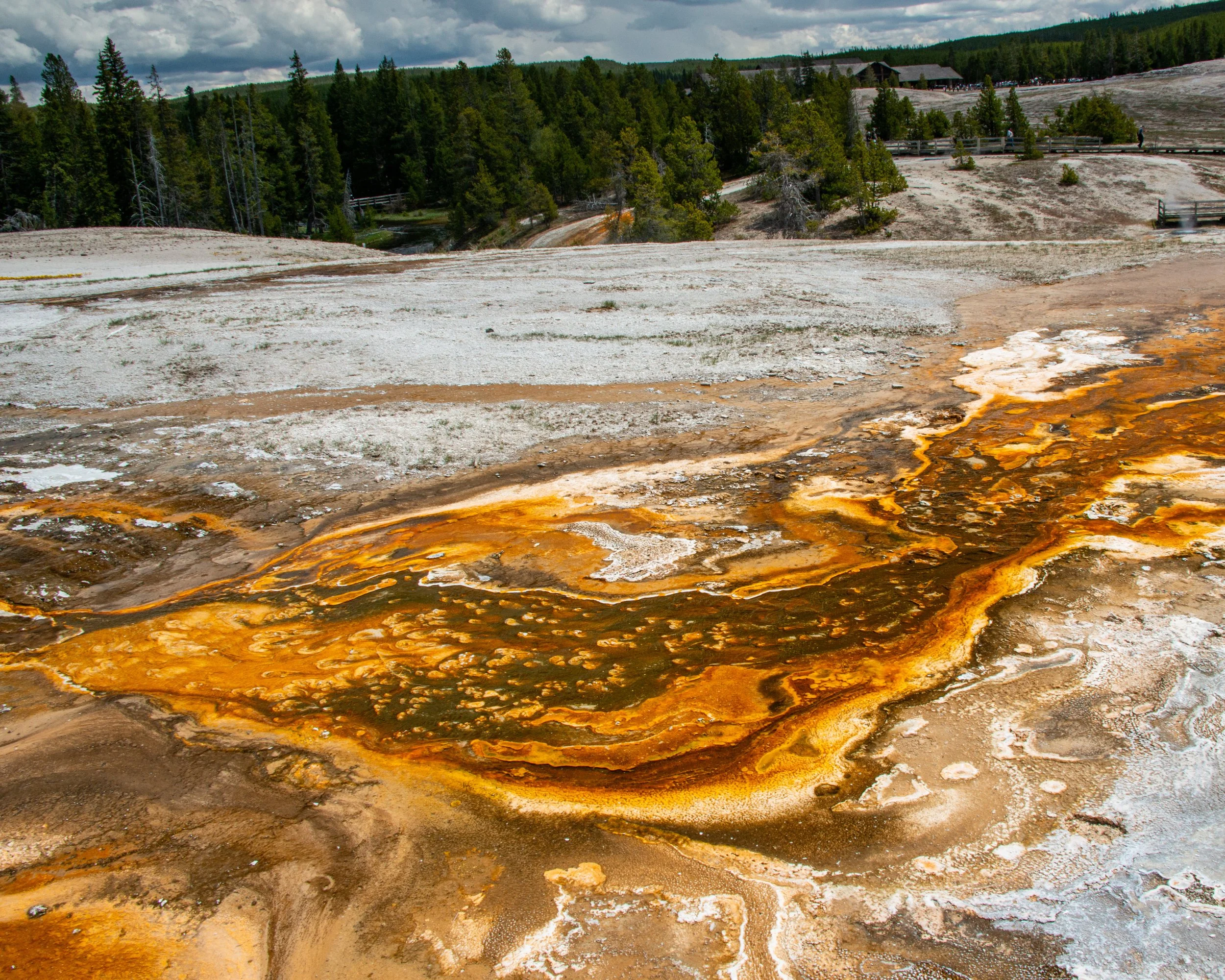 Yellowstone NP-672.jpg