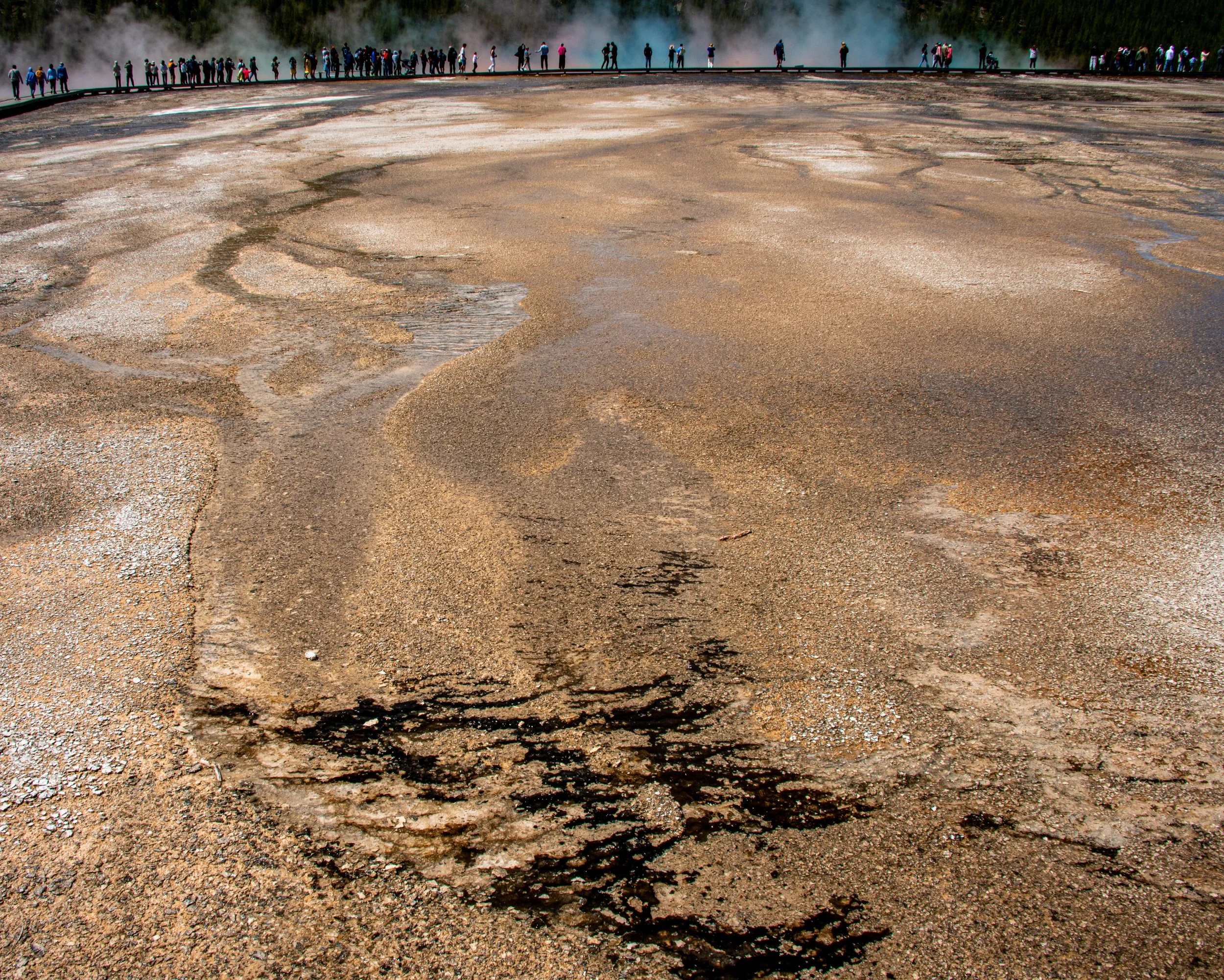 Yellowstone NP-1055.jpg