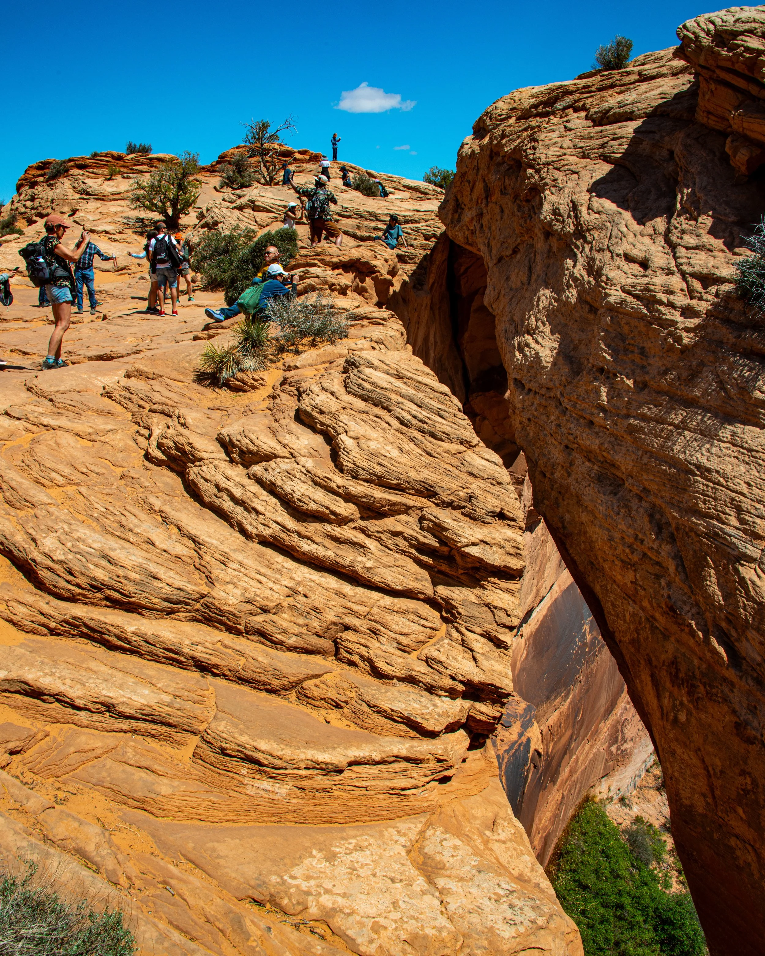 Canyonlands-71.jpg