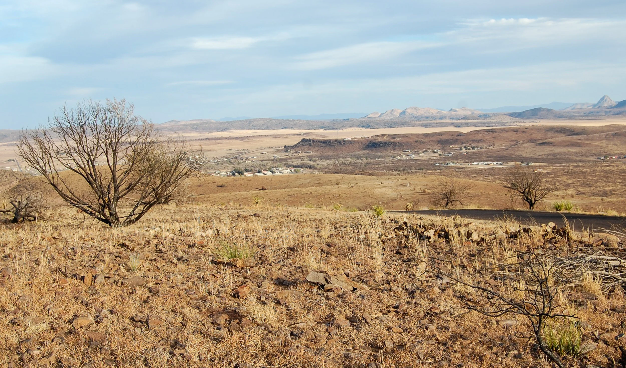 Big Bend-011.jpg