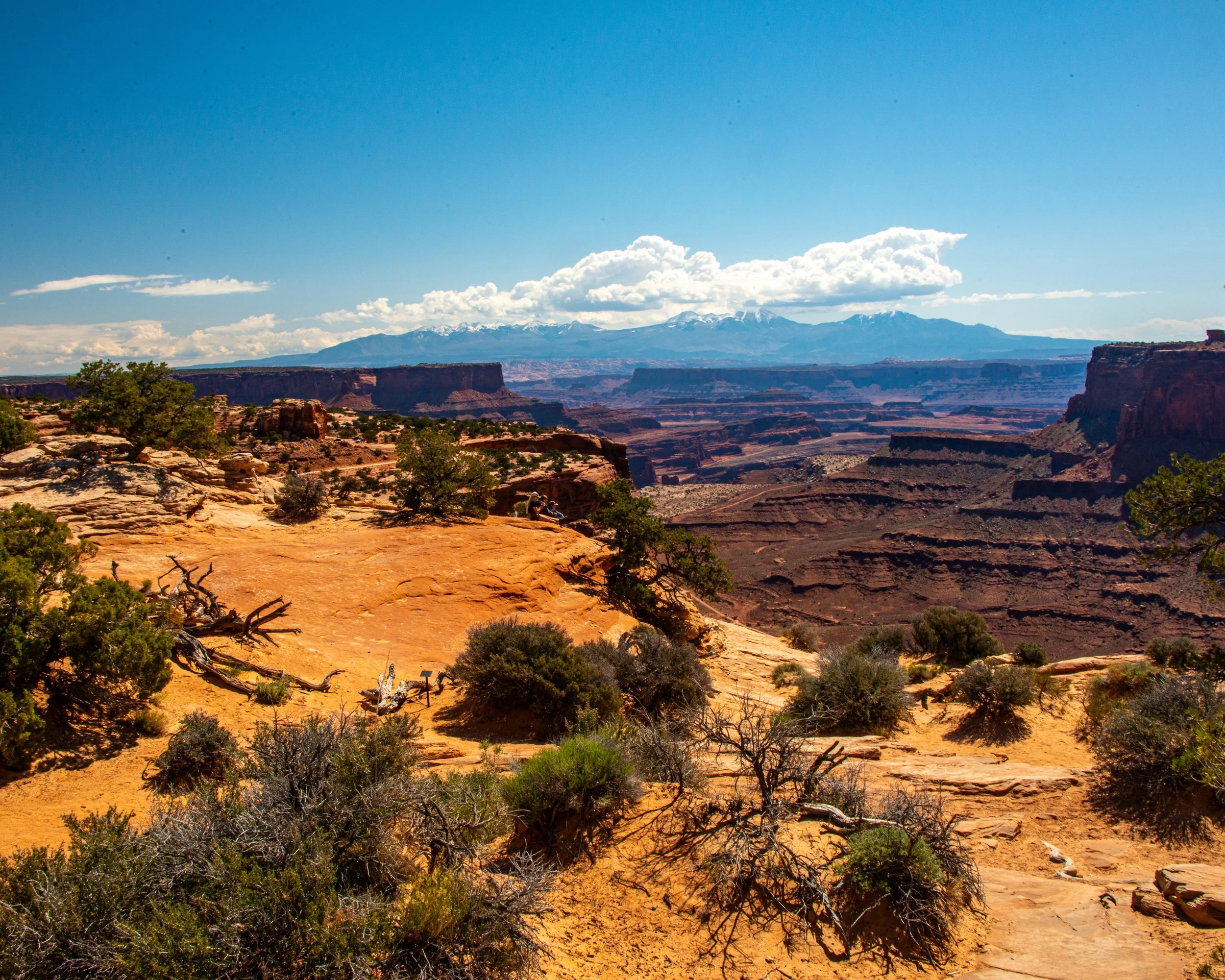 Canyonlands-14.jpg