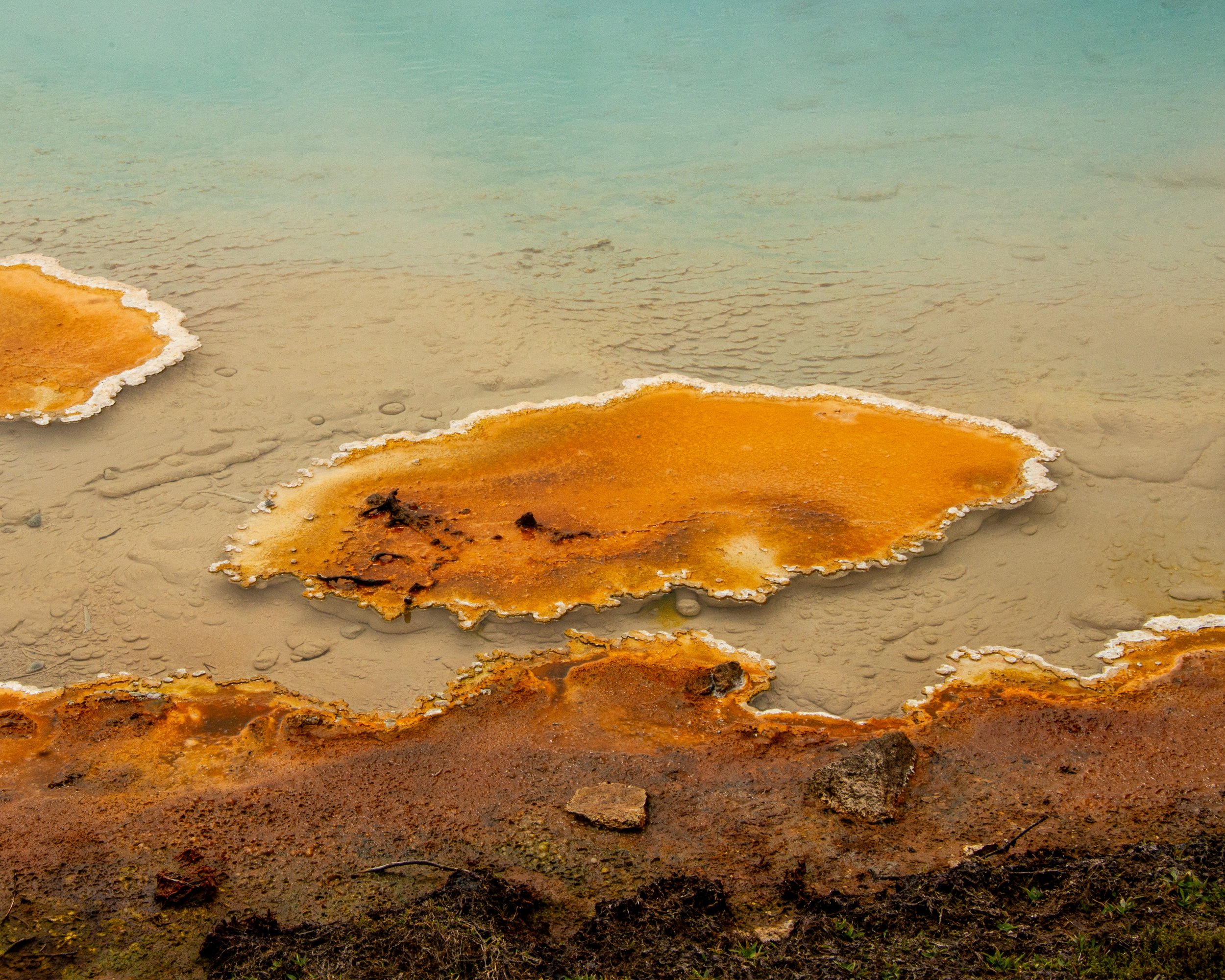 Yellowstone NP-283.jpg