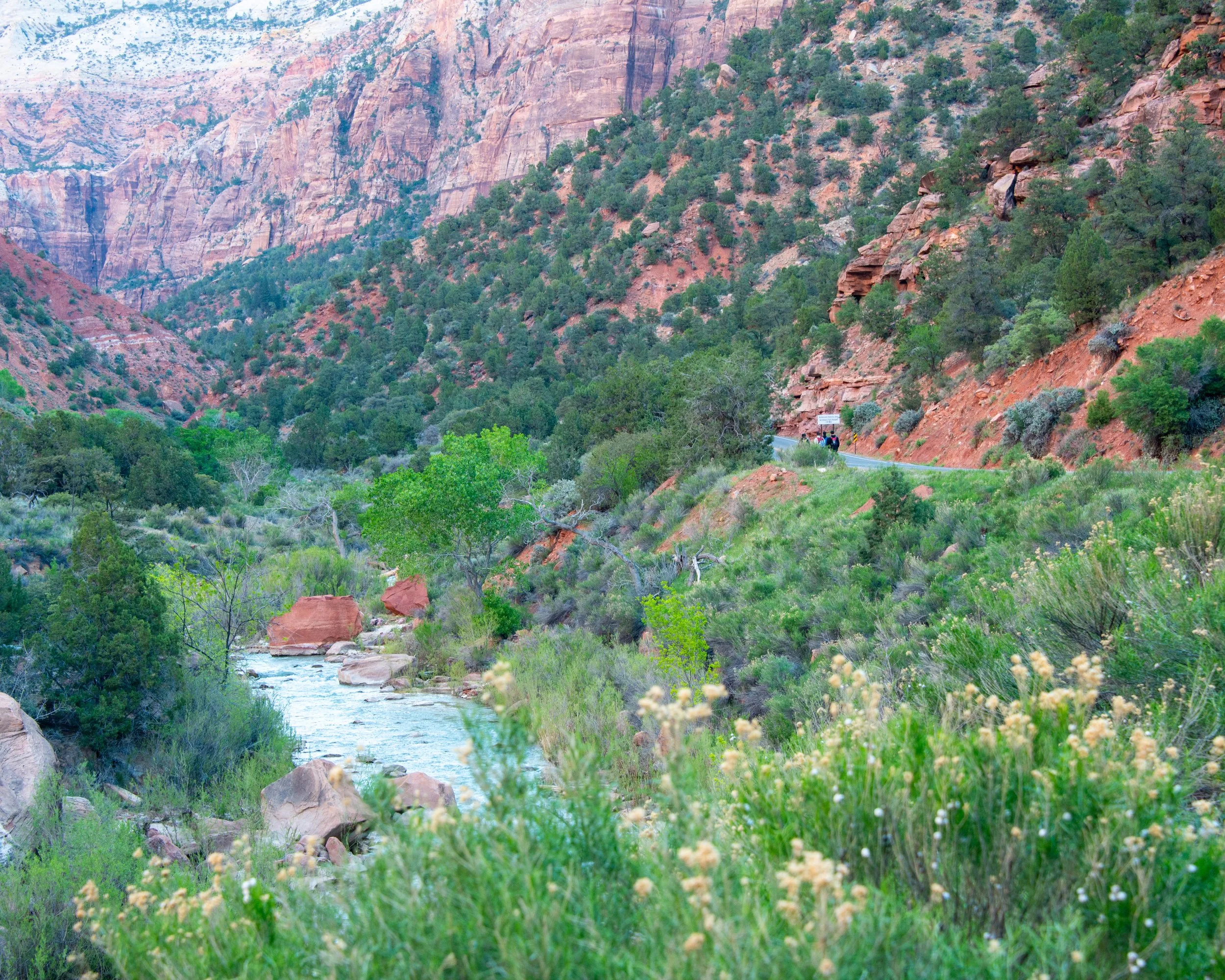Zion-57.jpg