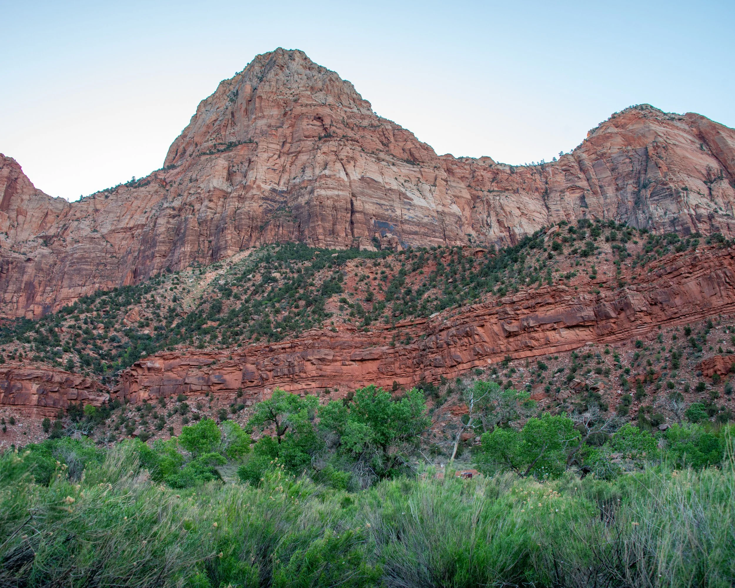 Zion-21.jpg