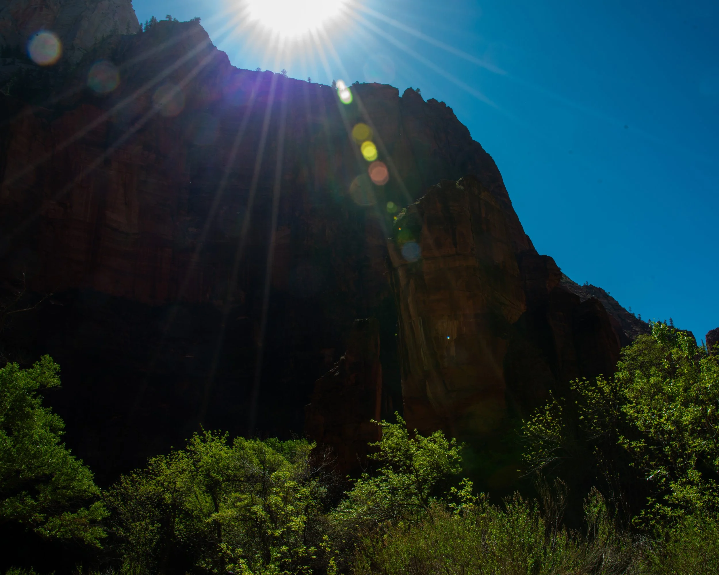 Zion-78.jpg