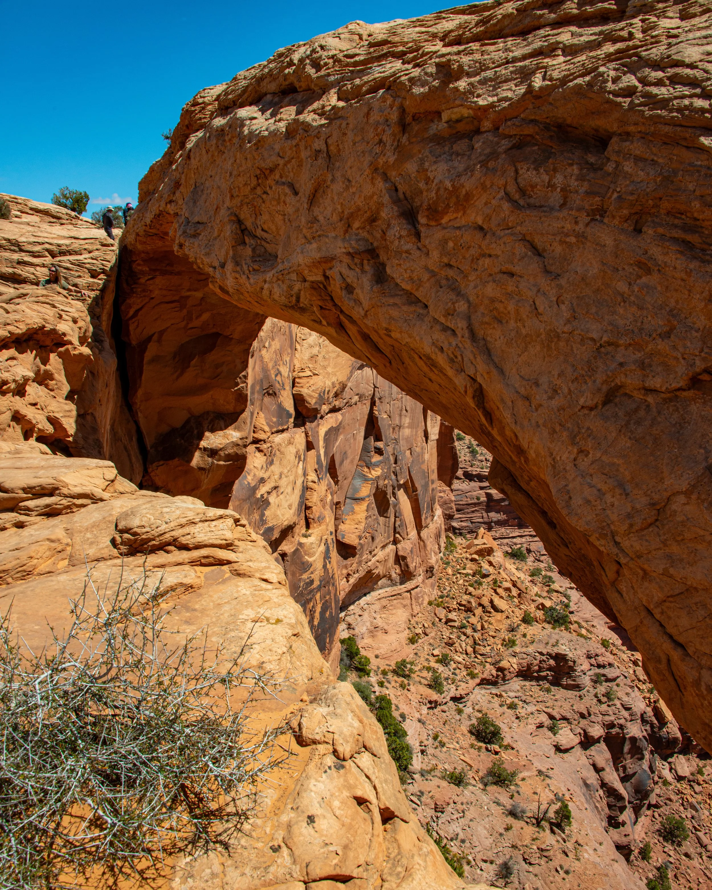 Canyonlands-57.jpg