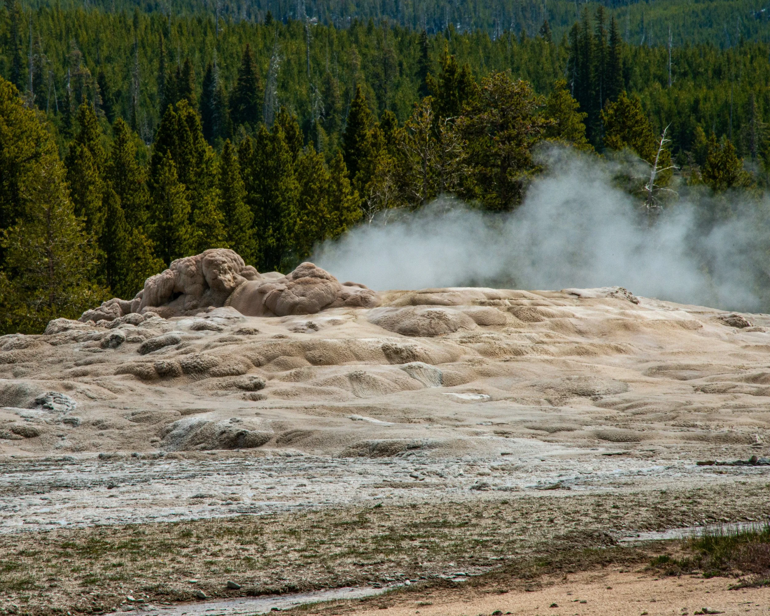 Yellowstone NP-191.jpg