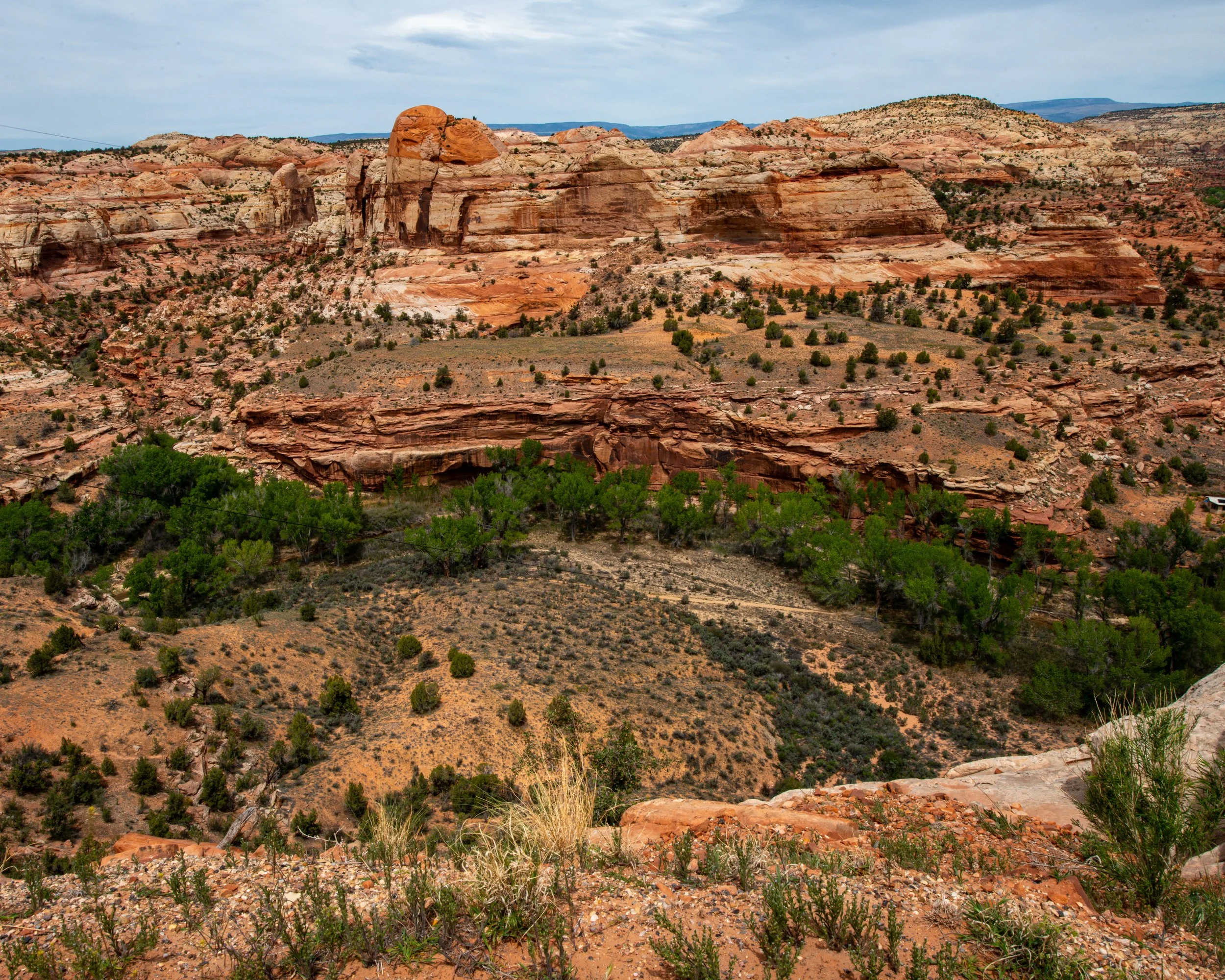 Capitol Reef-273.jpg