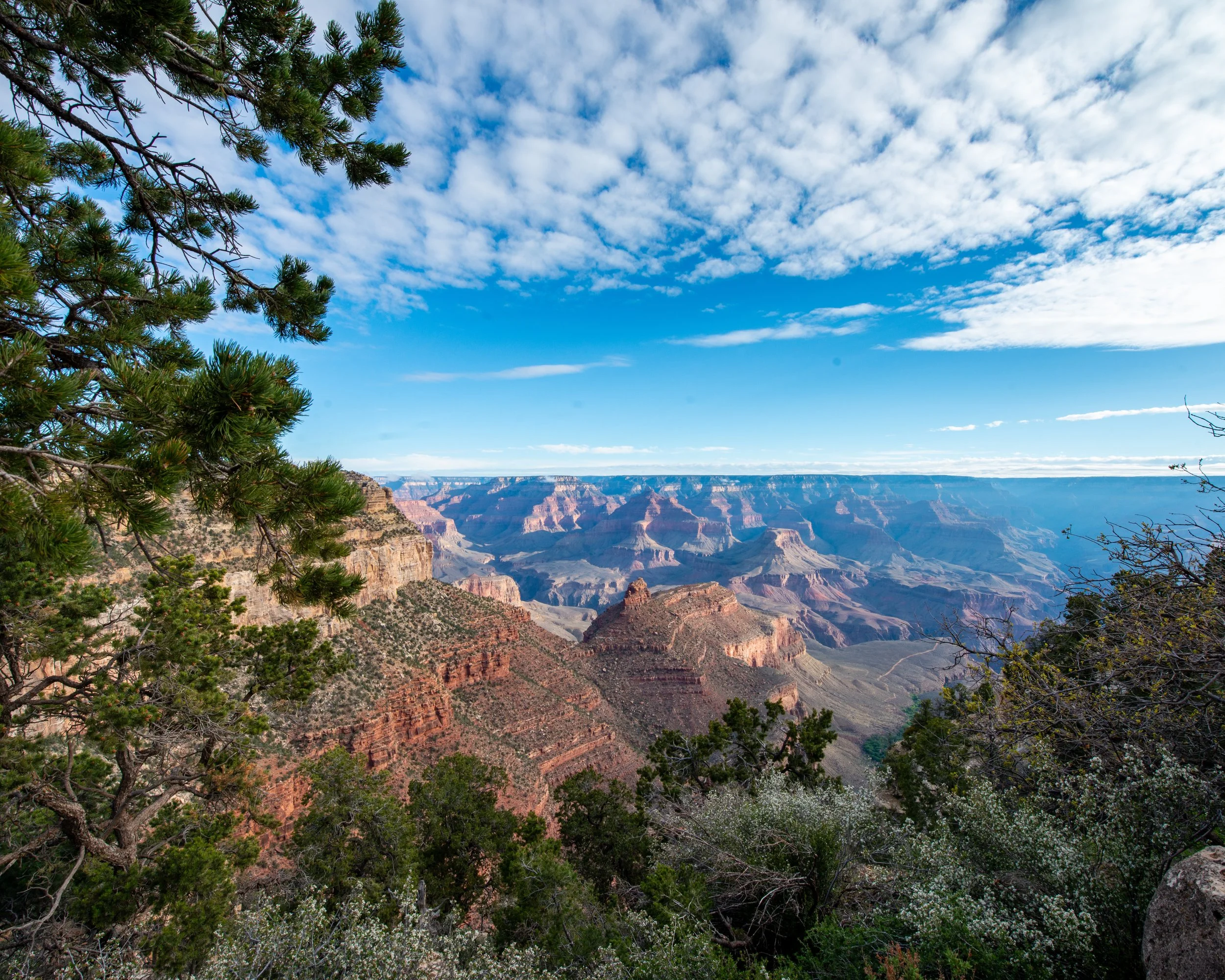 Rim Trail 5-7-25-181.jpg