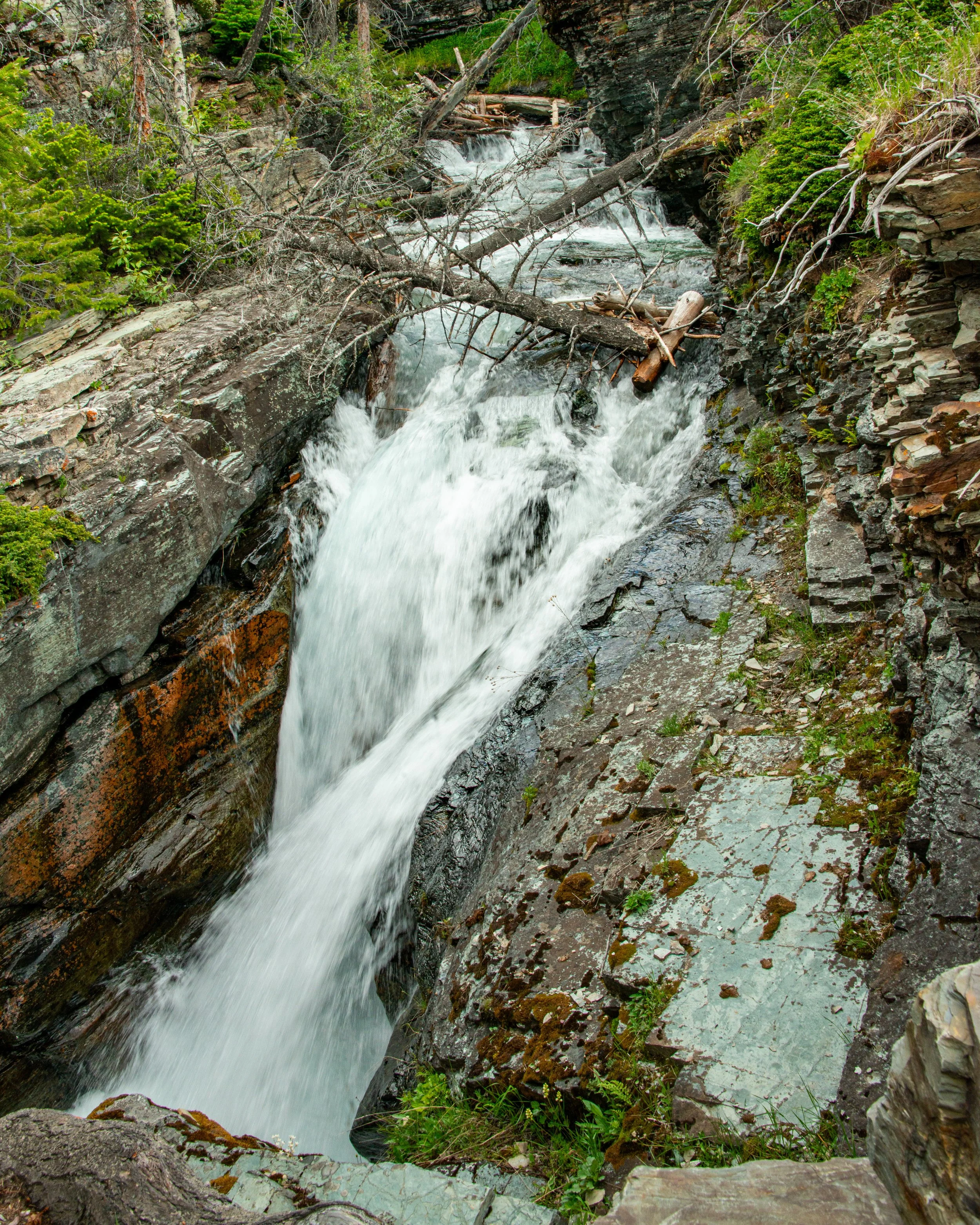 Glacier NP-189.jpg