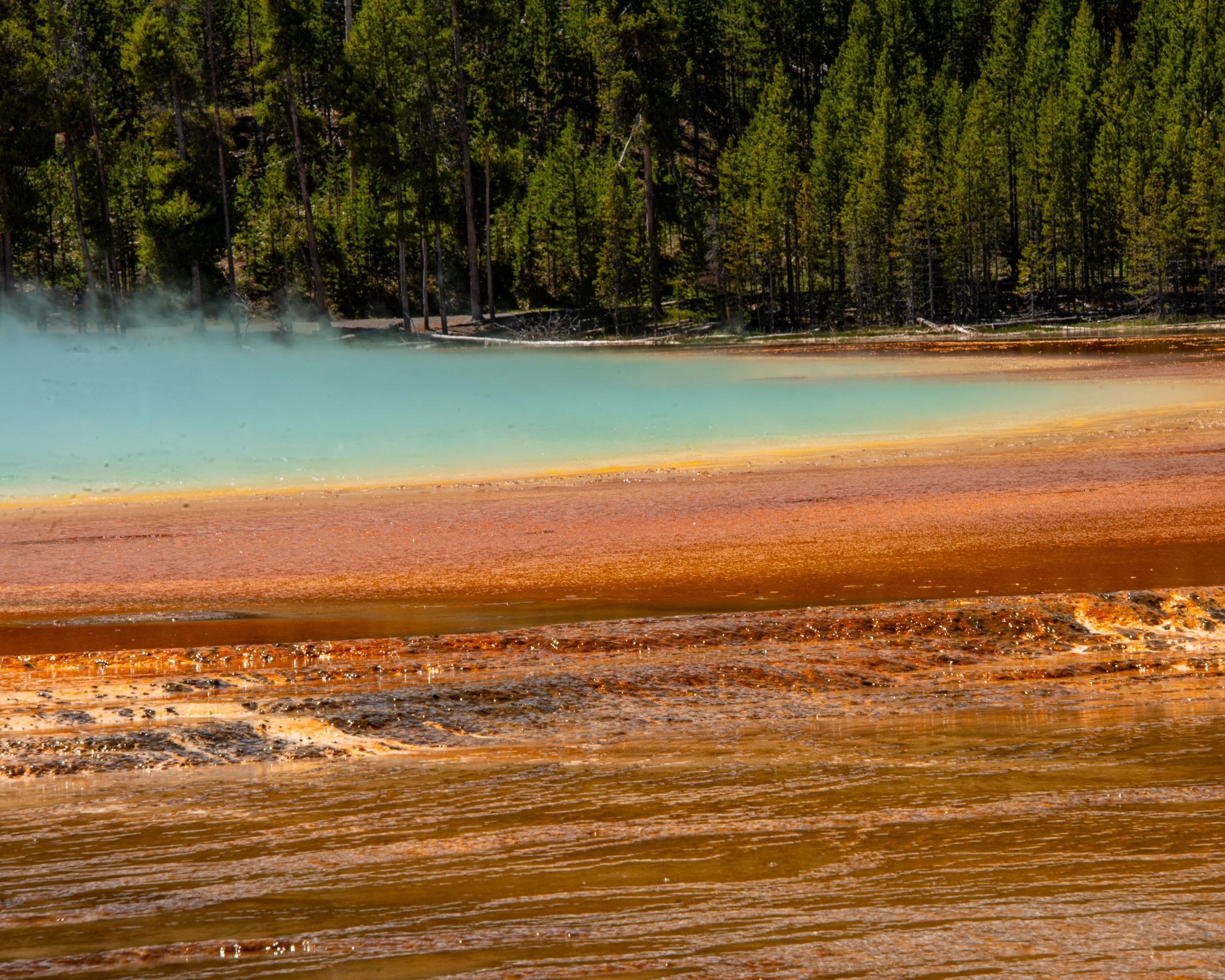 Yellowstone NP-1101.jpg