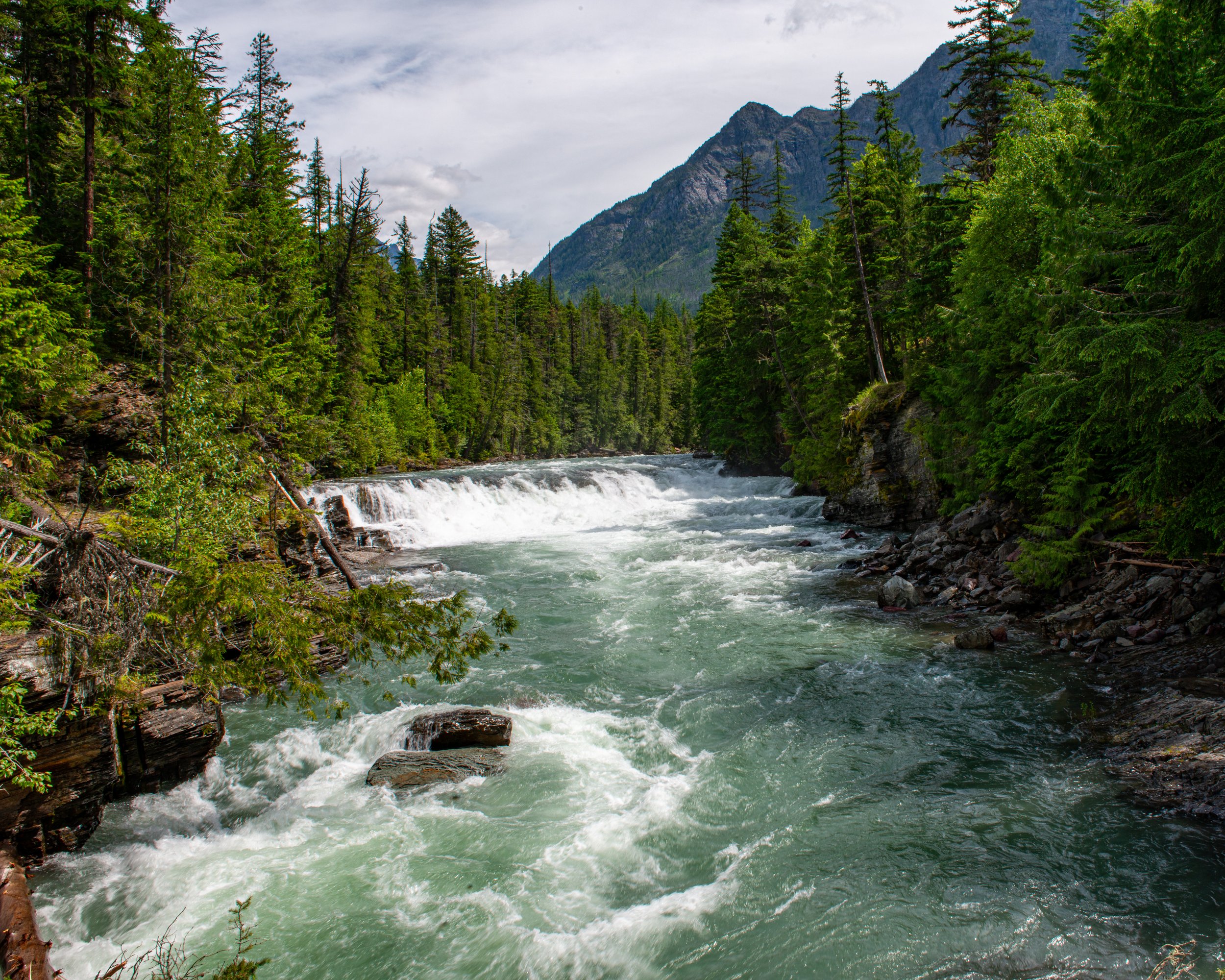 Glacier NP-507.jpg
