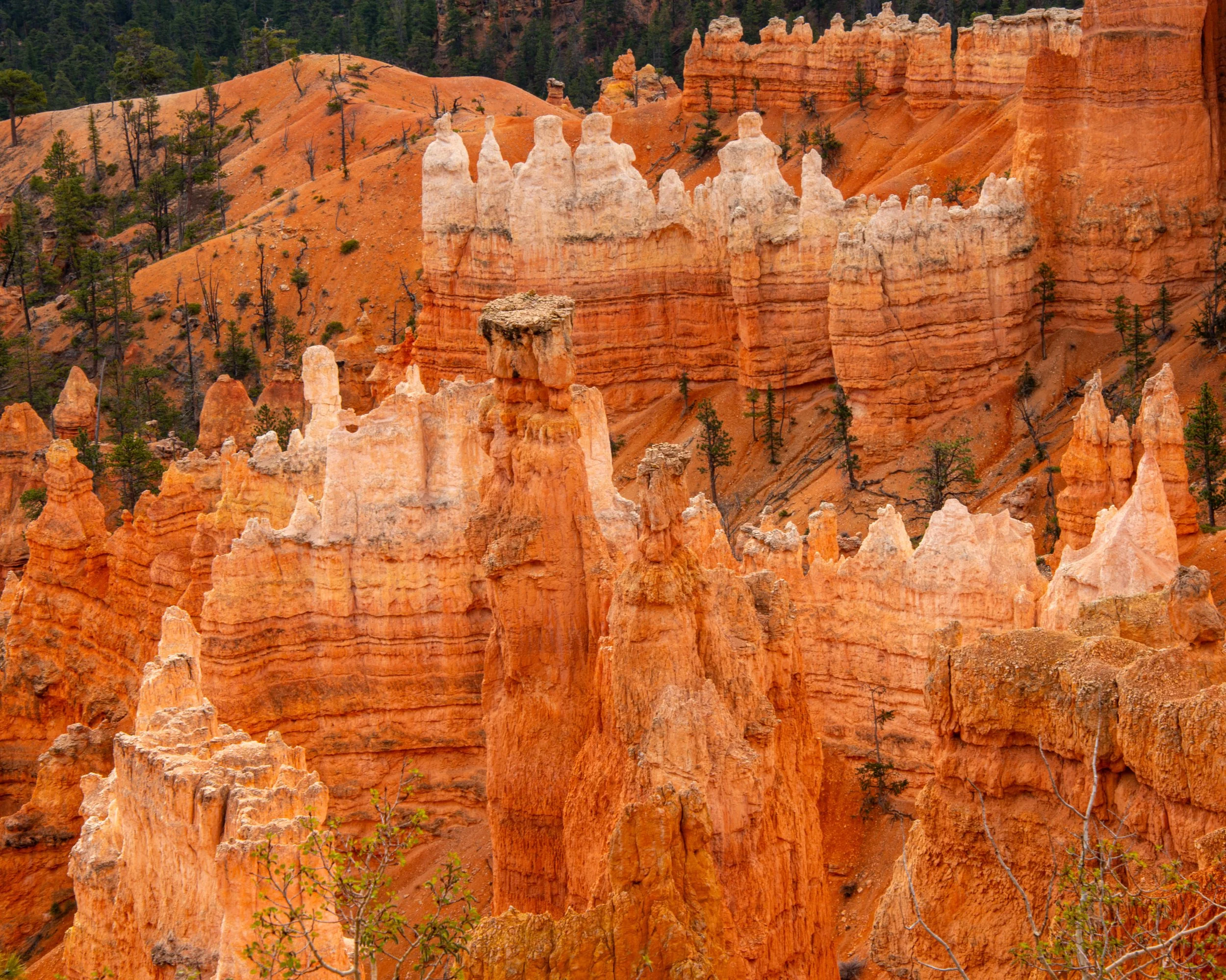 Bryce-11.jpg