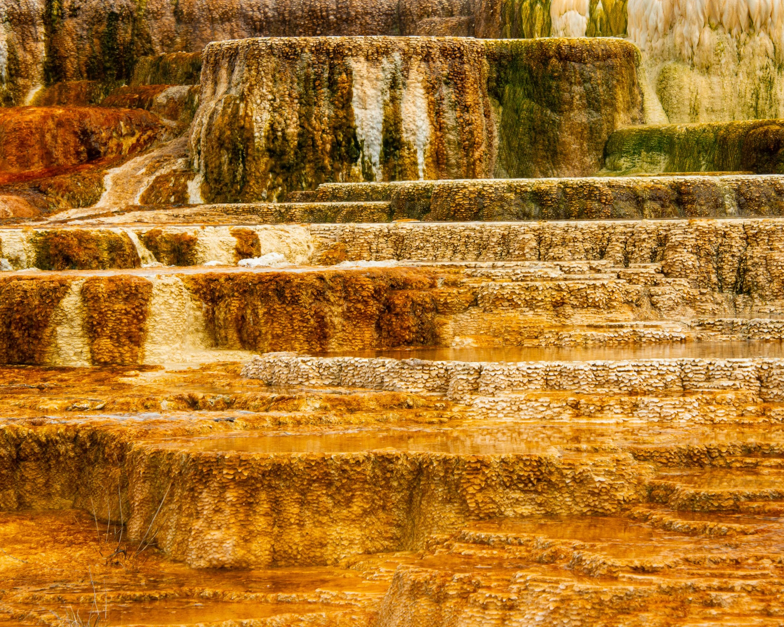 Yellowstone NP-563.jpg