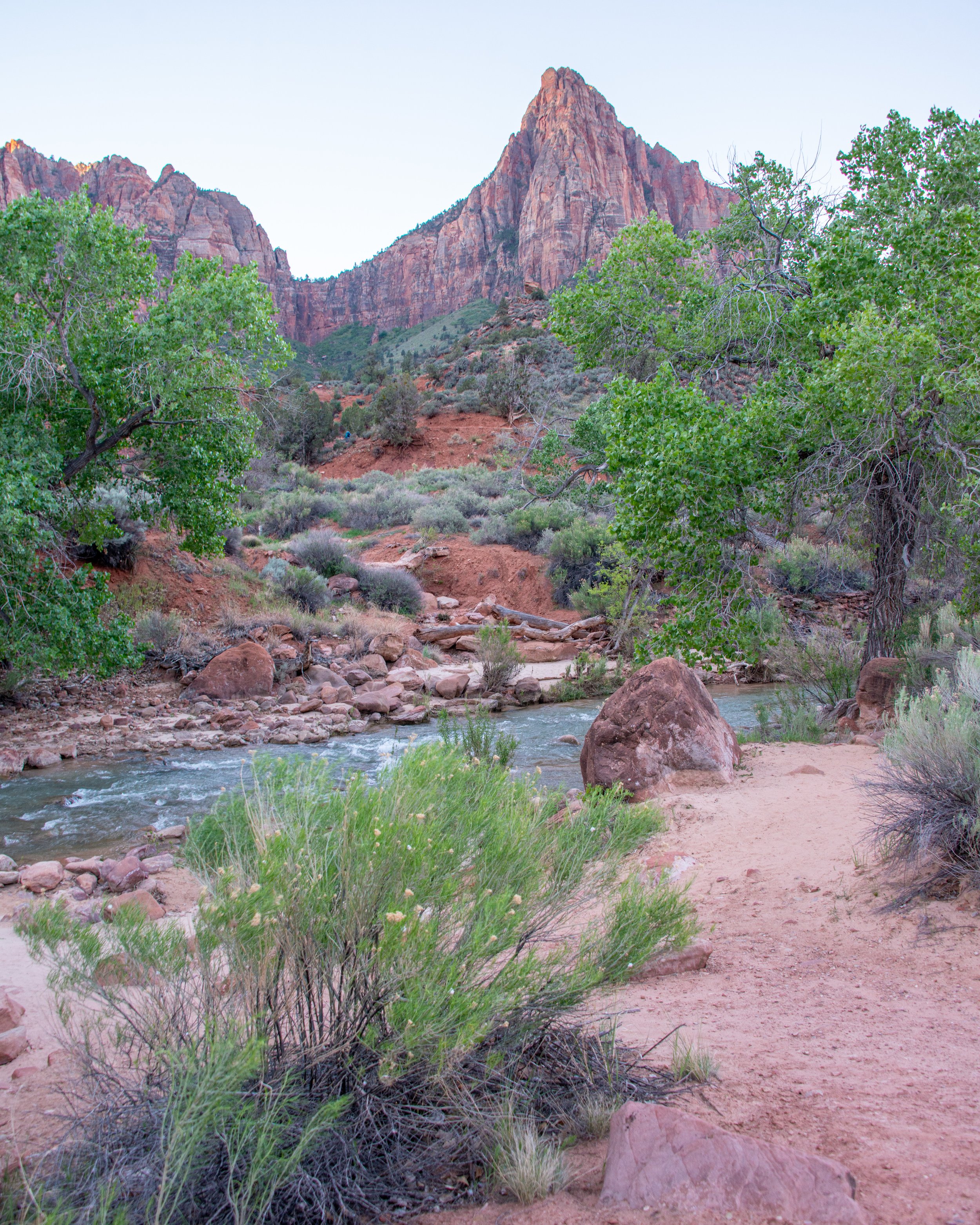Zion-16.jpg