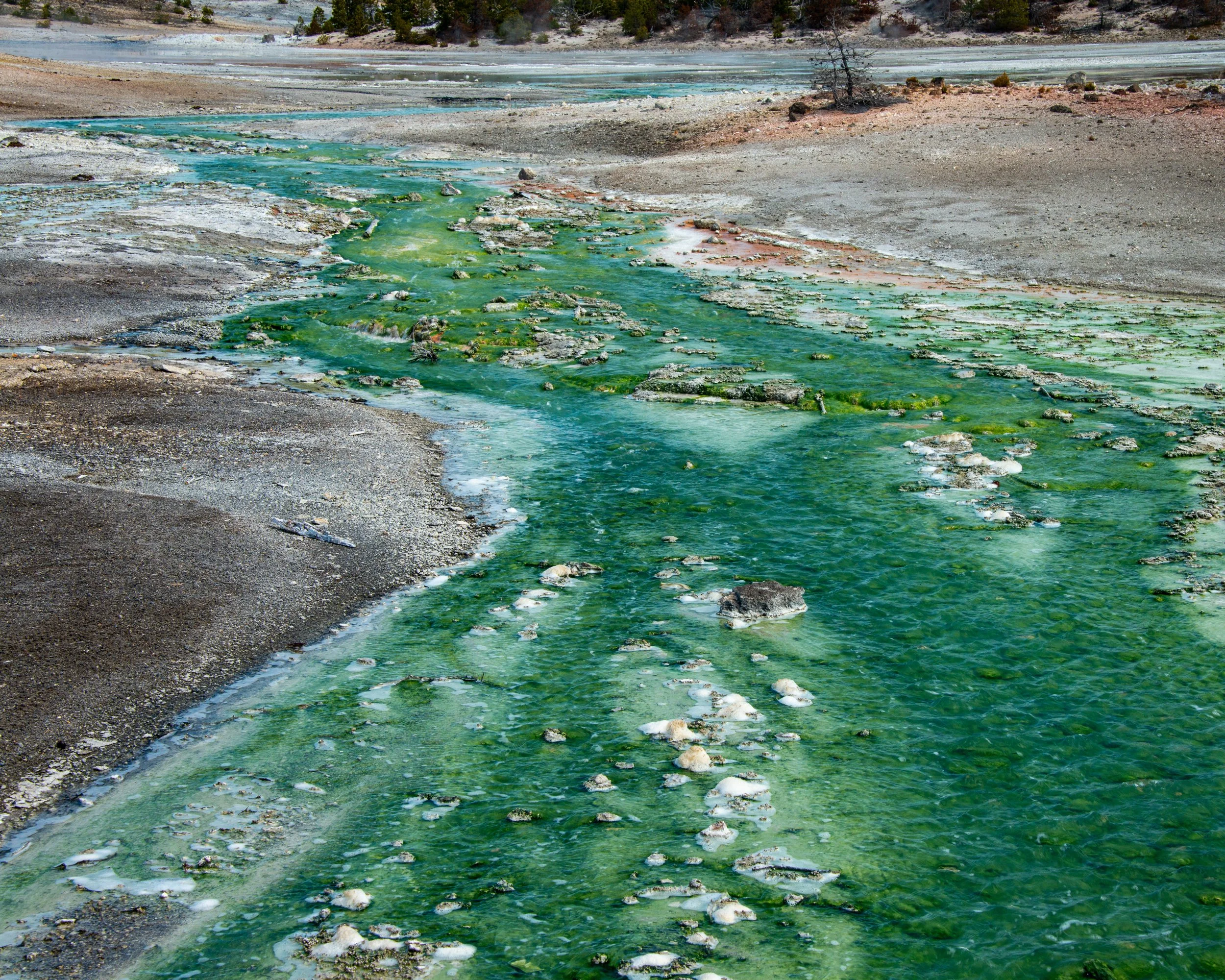 Yellowstone NP-455.jpg