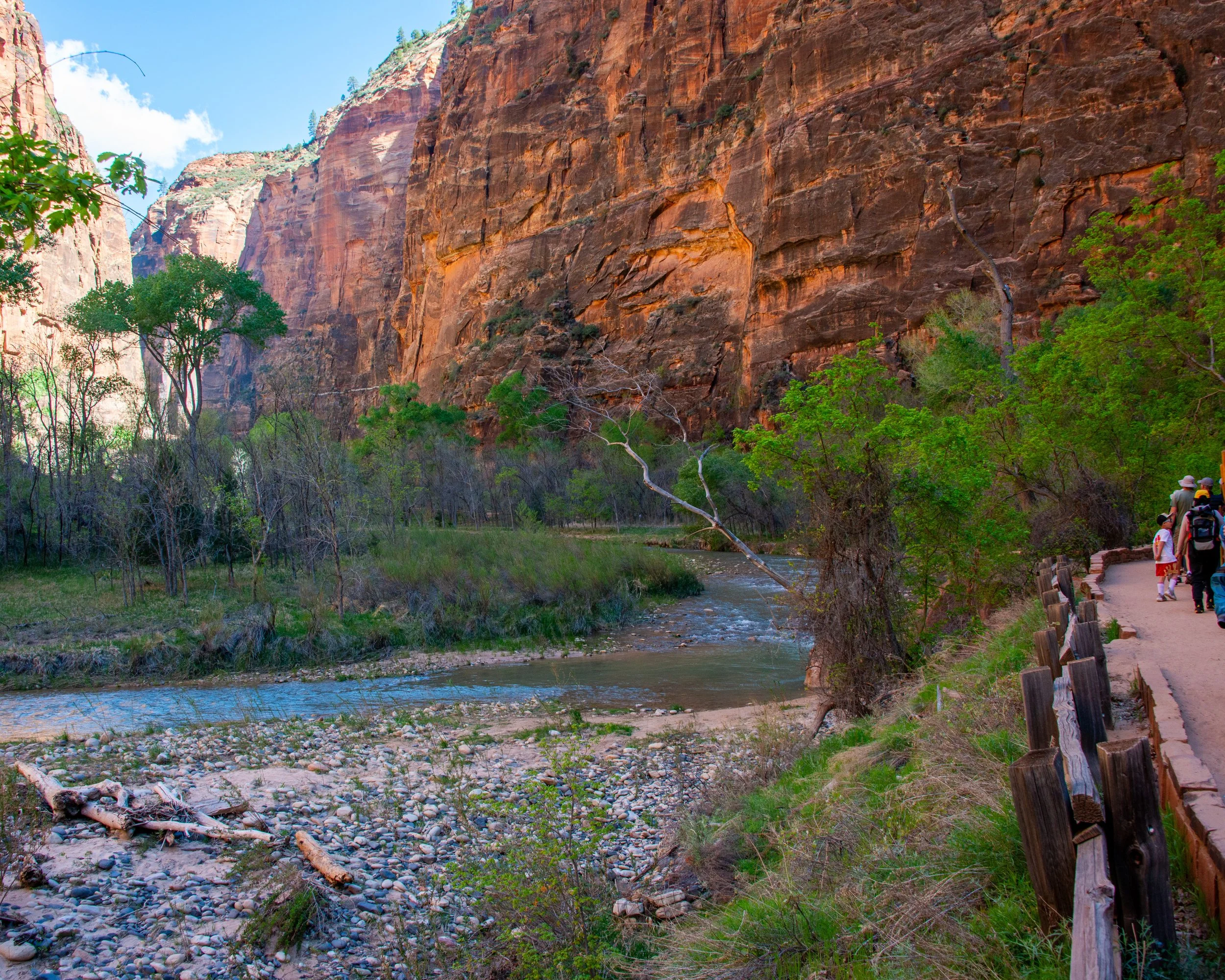 Zion-83.jpg