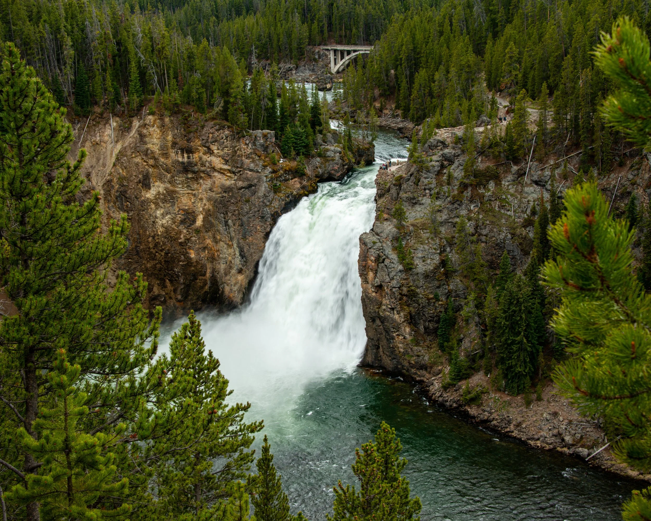 Yellowstone NP-364.jpg