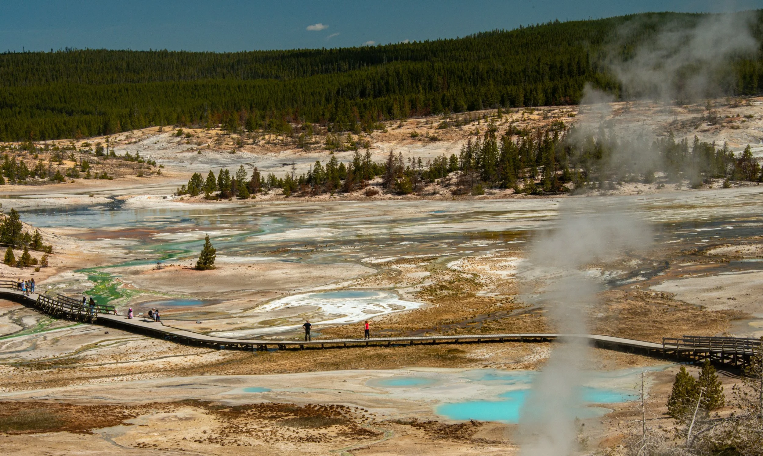 Yellowstone NP-420.jpg