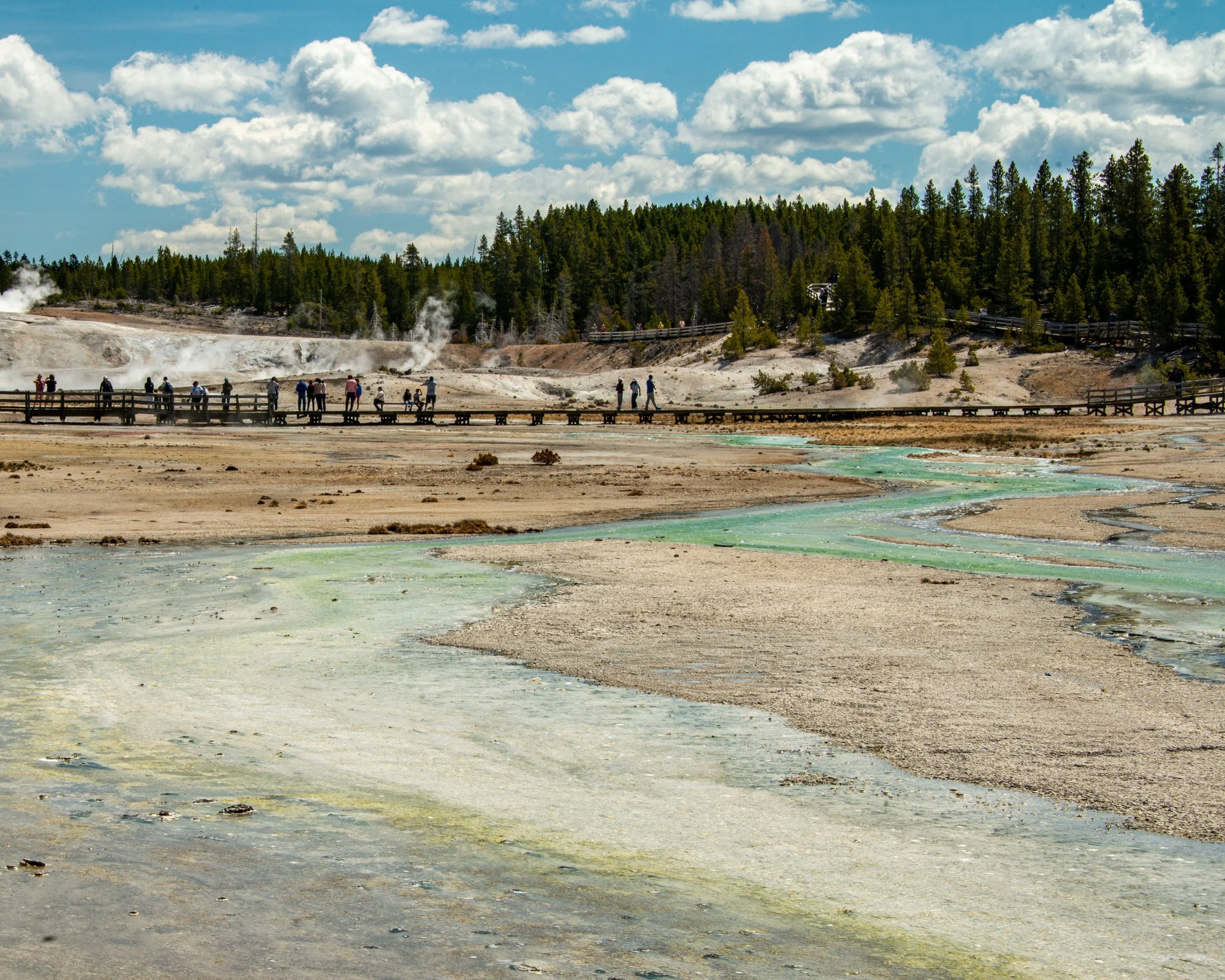 Yellowstone NP-459.jpg