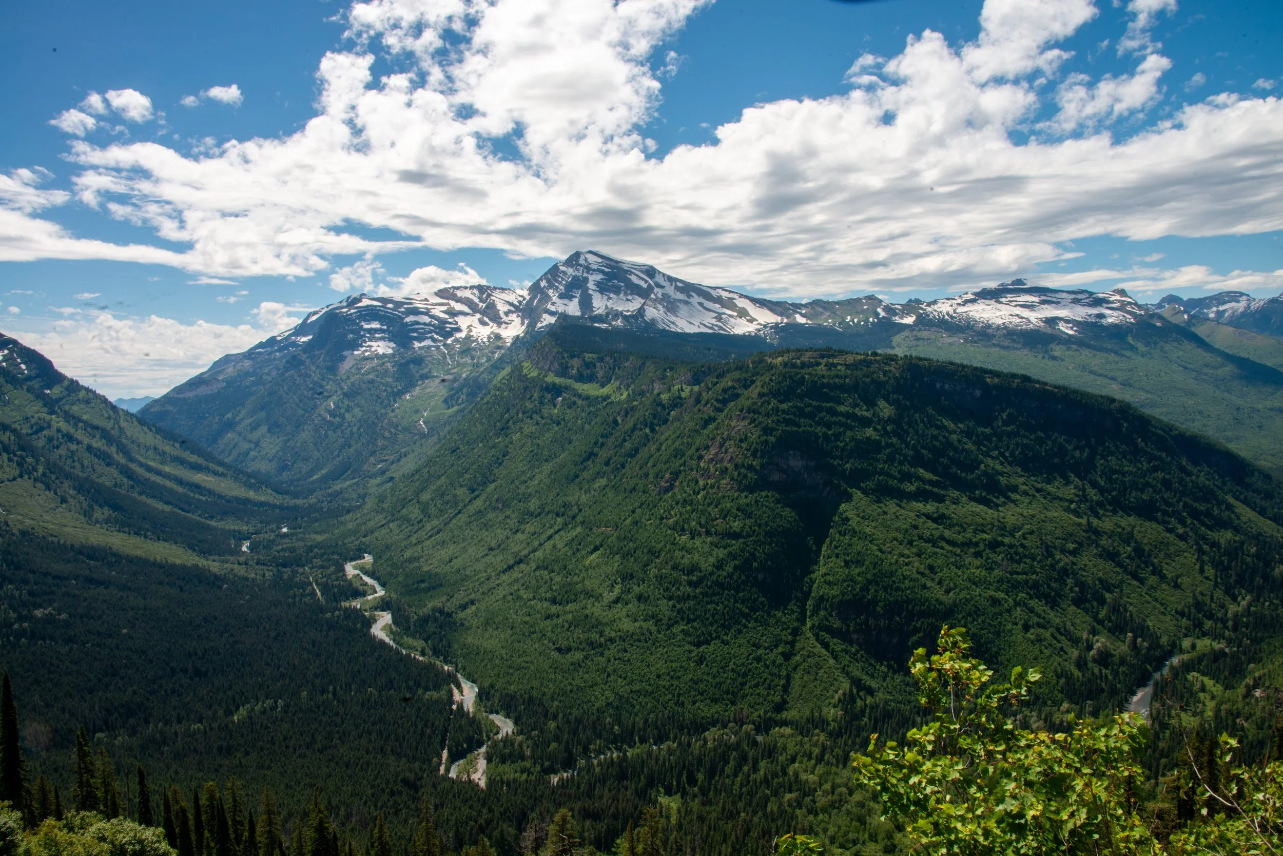 Glacier NP-571.jpg