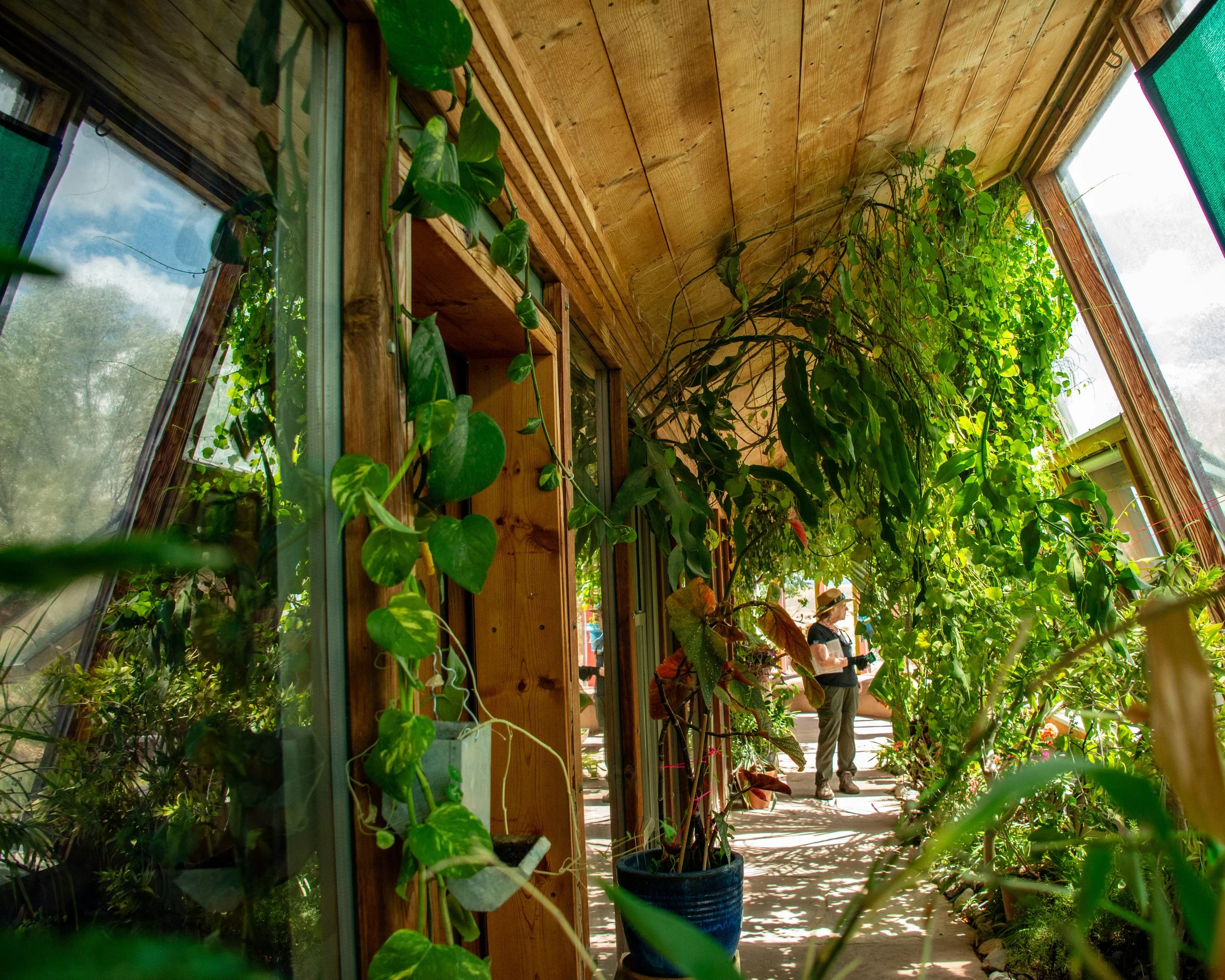 Earthships-10.jpg