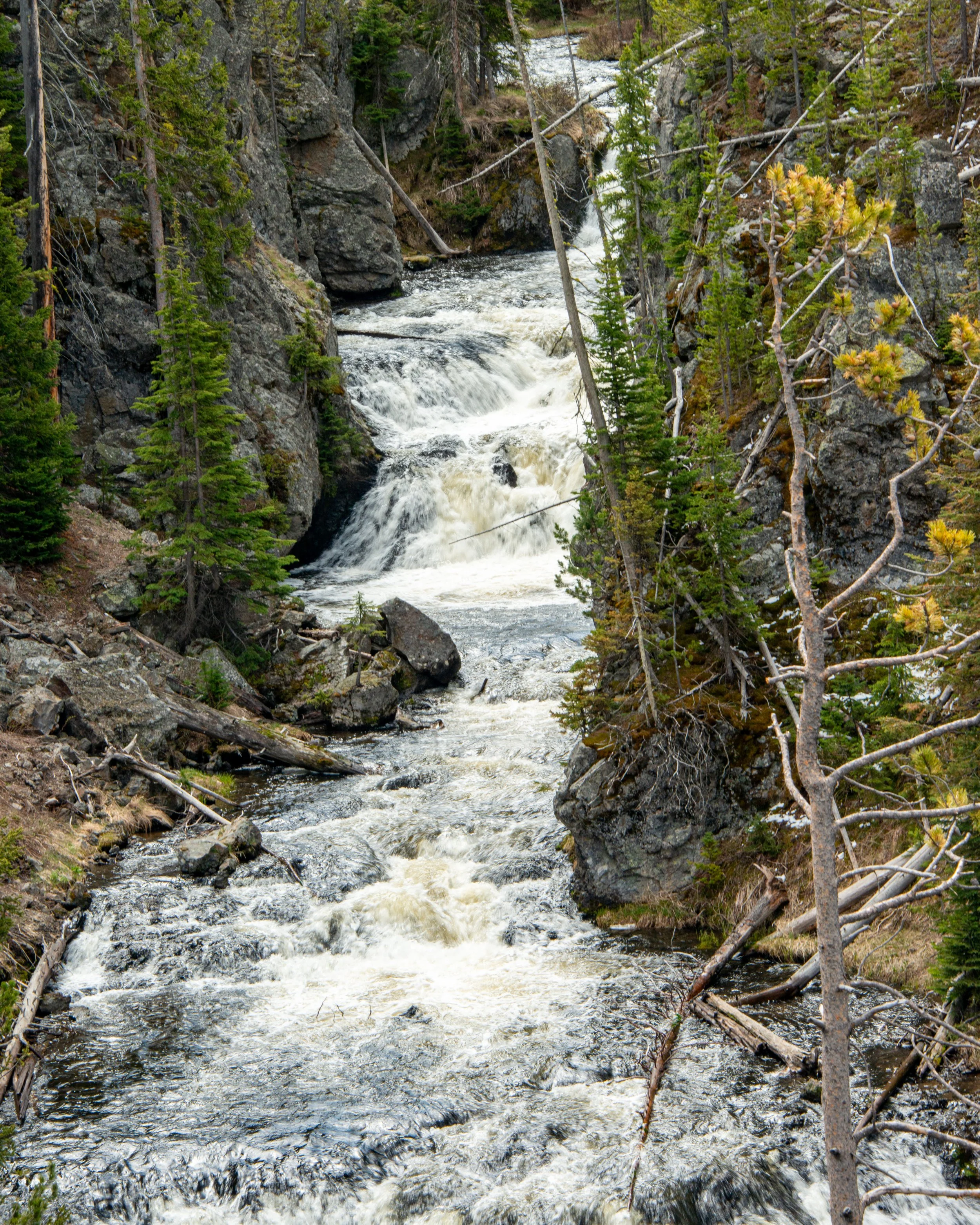 Yellowstone NP-188.jpg